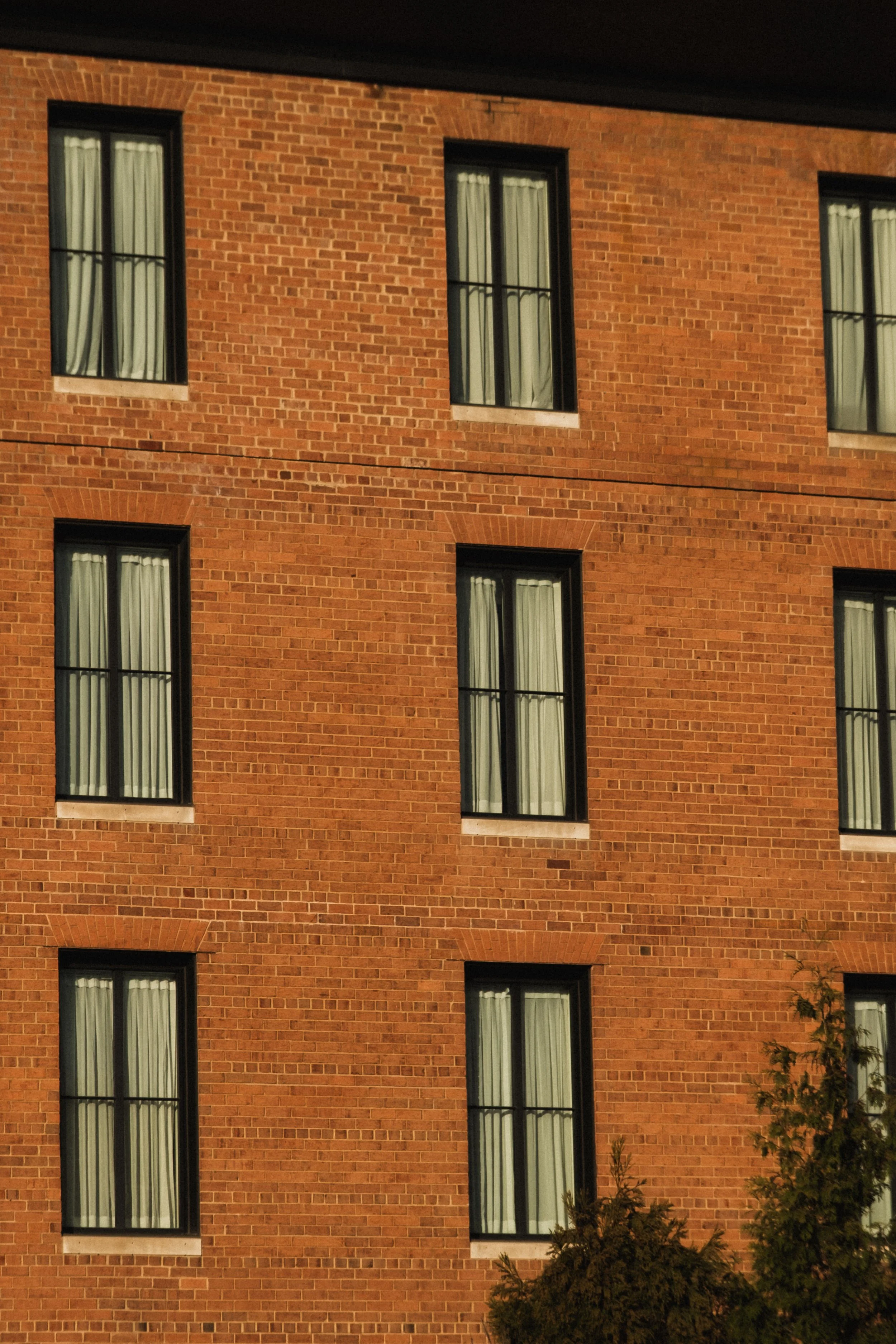 Rosewood D.C. __ Nick Buckler-054.jpg