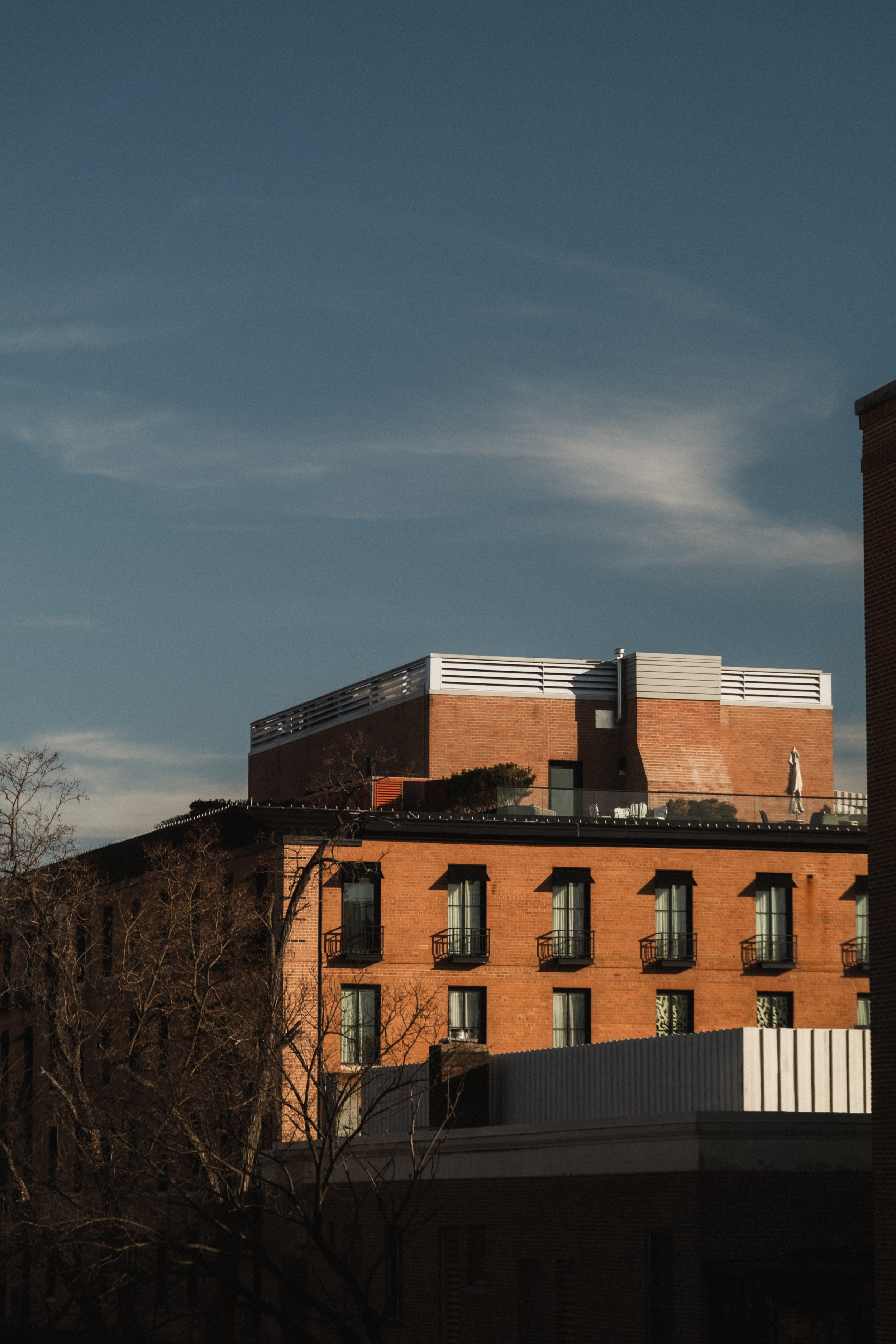 Rosewood D.C. __ Nick Buckler-051.jpg