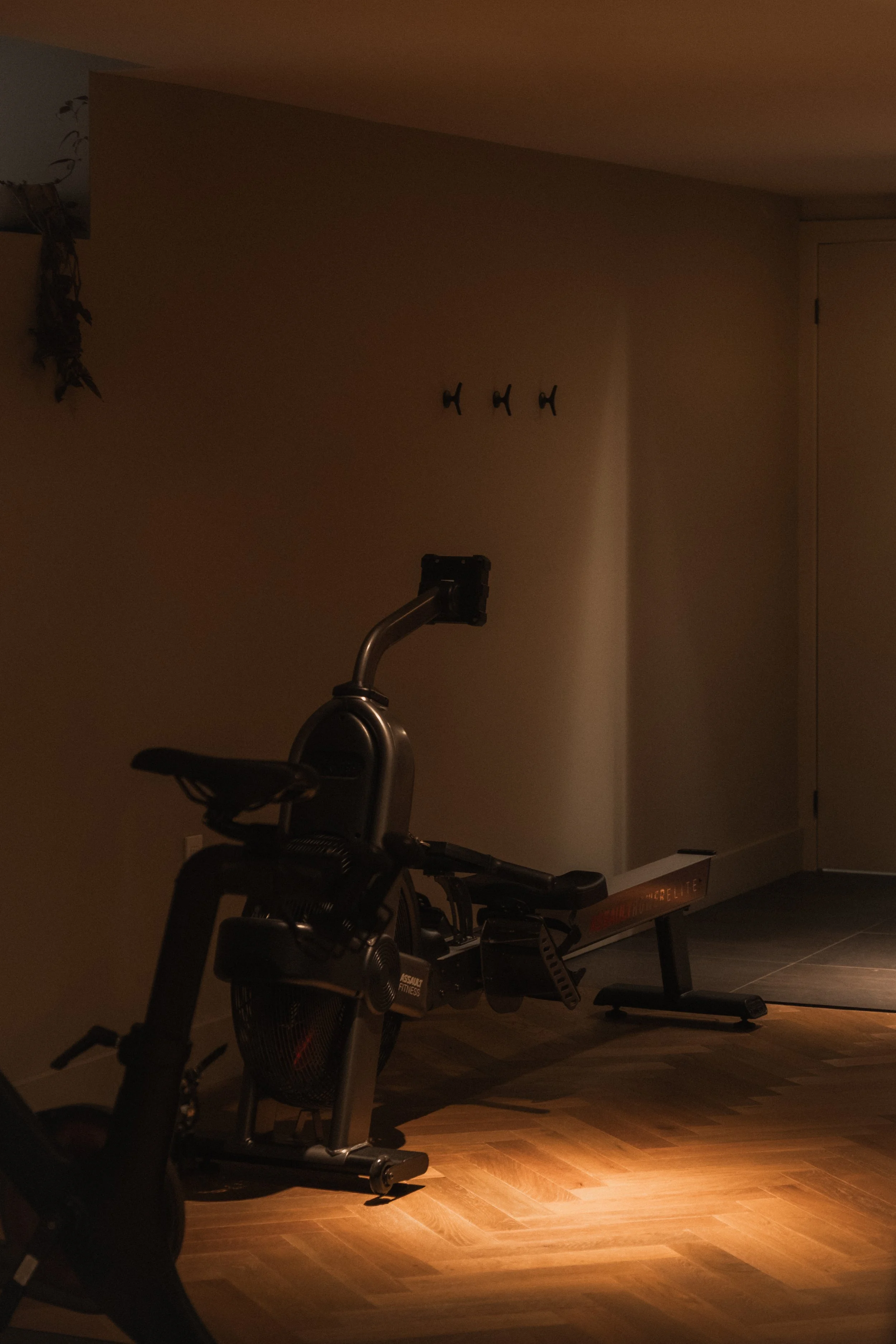 Anna & Bel __ Nick Buckler-041.jpg