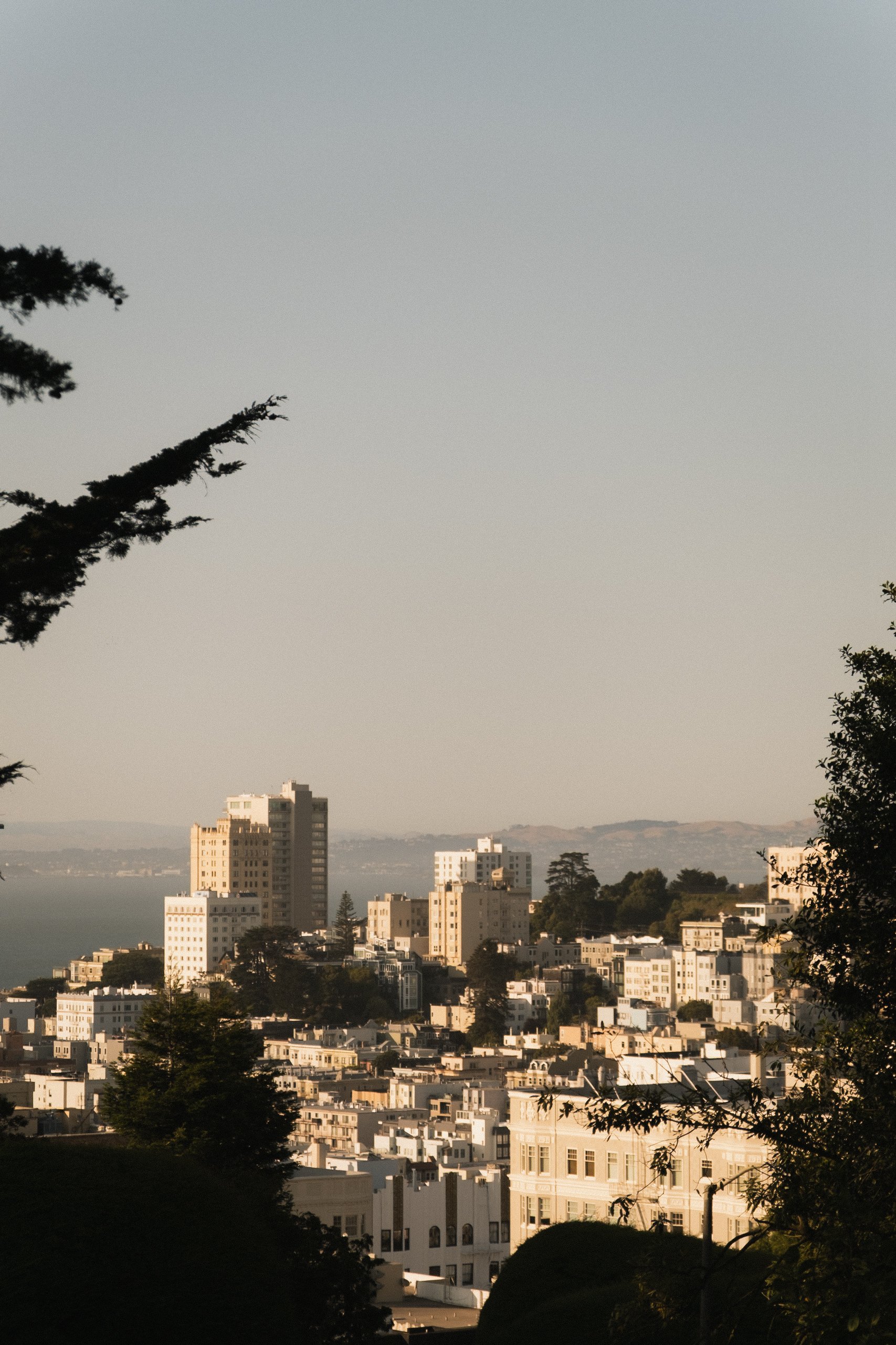 1 Hotel San Francisco __ Nick Buckler-404.jpg