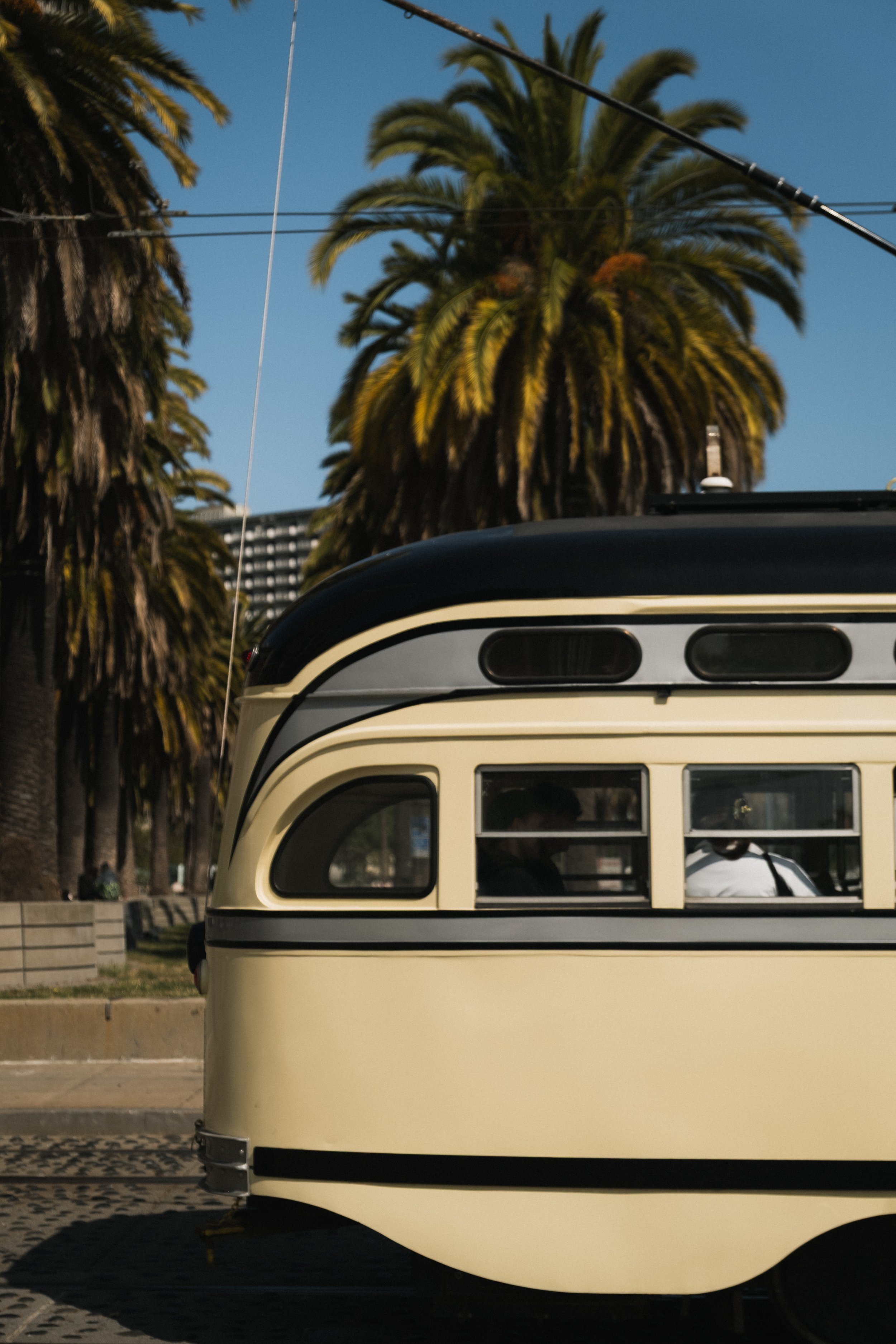 1 Hotel San Francisco __ Nick Buckler-455.jpg
