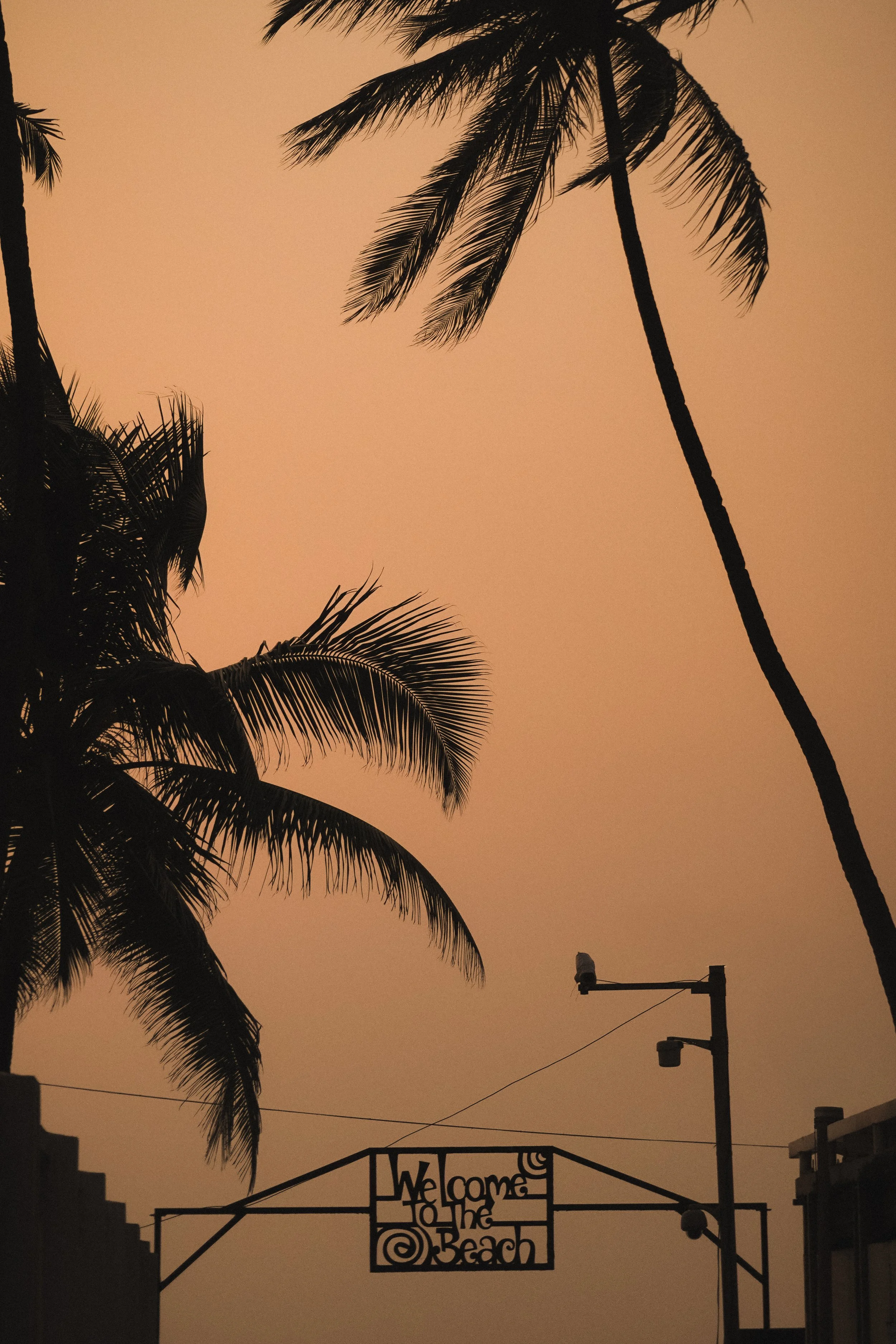 Mumbai-20.jpg