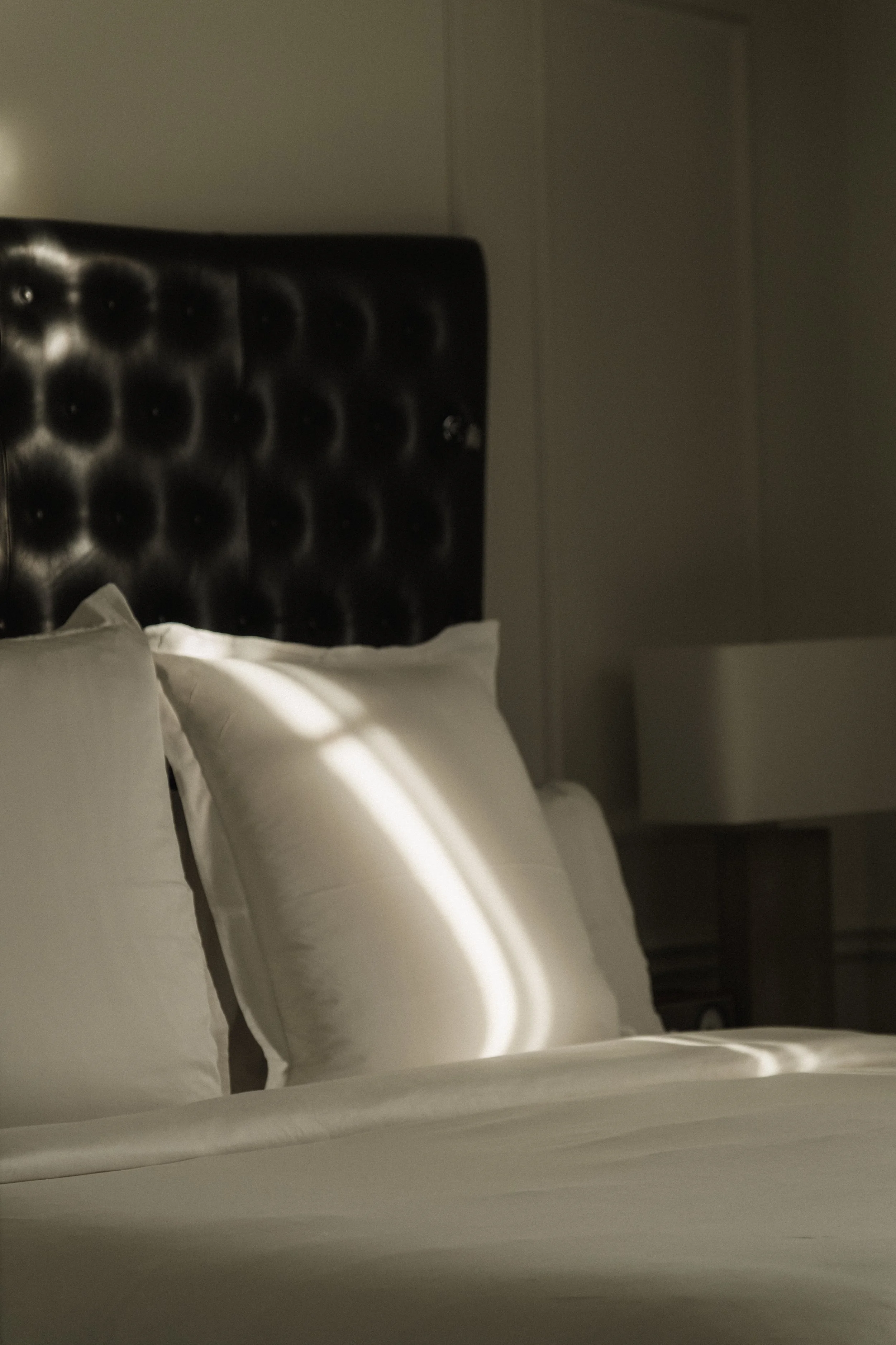 Rosewood D.C. __ Nick Buckler-075.jpg