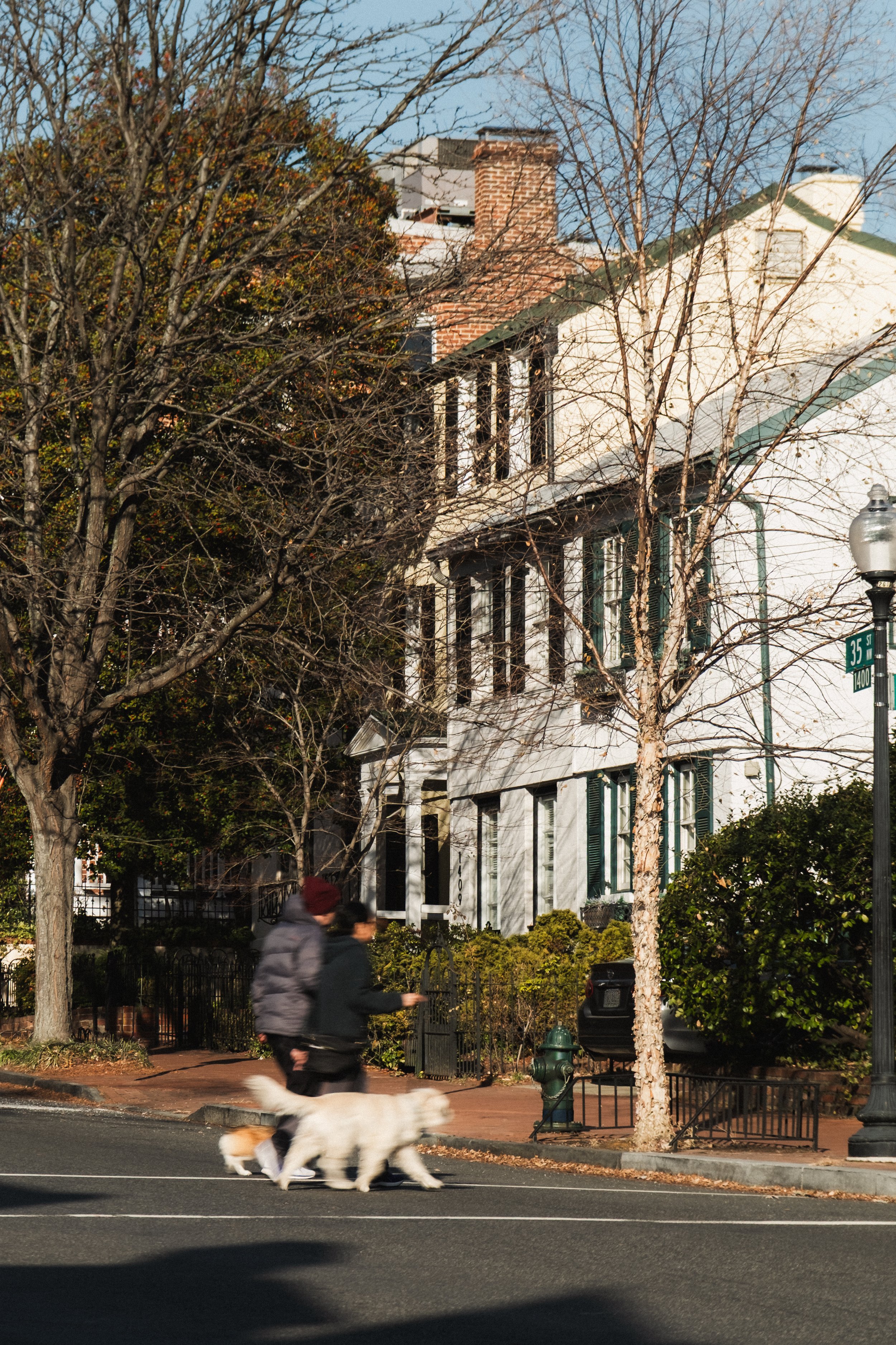 Rosewood D.C. __ Nick Buckler-040.jpg