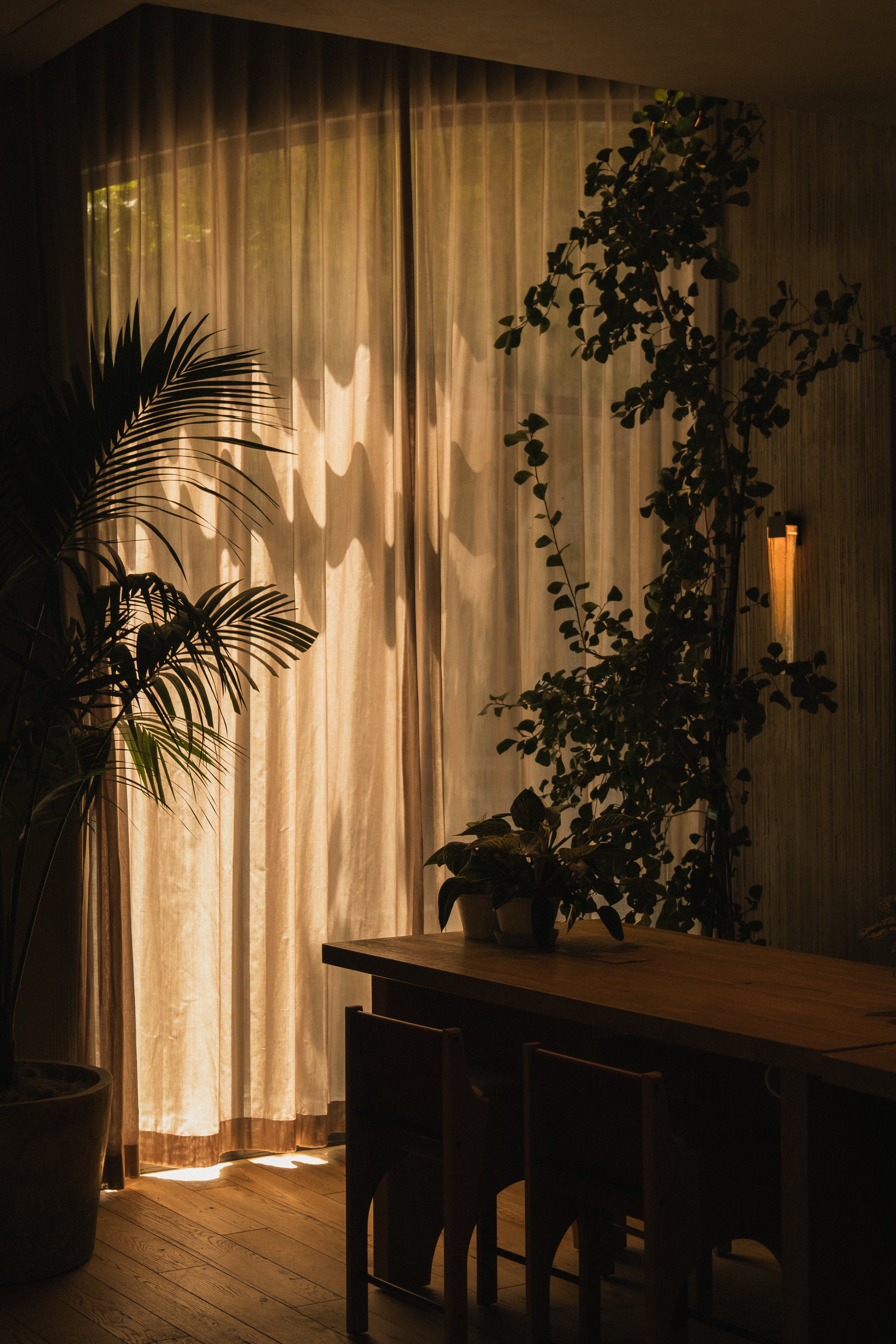 1 Hotel San Francisco __ Nick Buckler-345.jpg