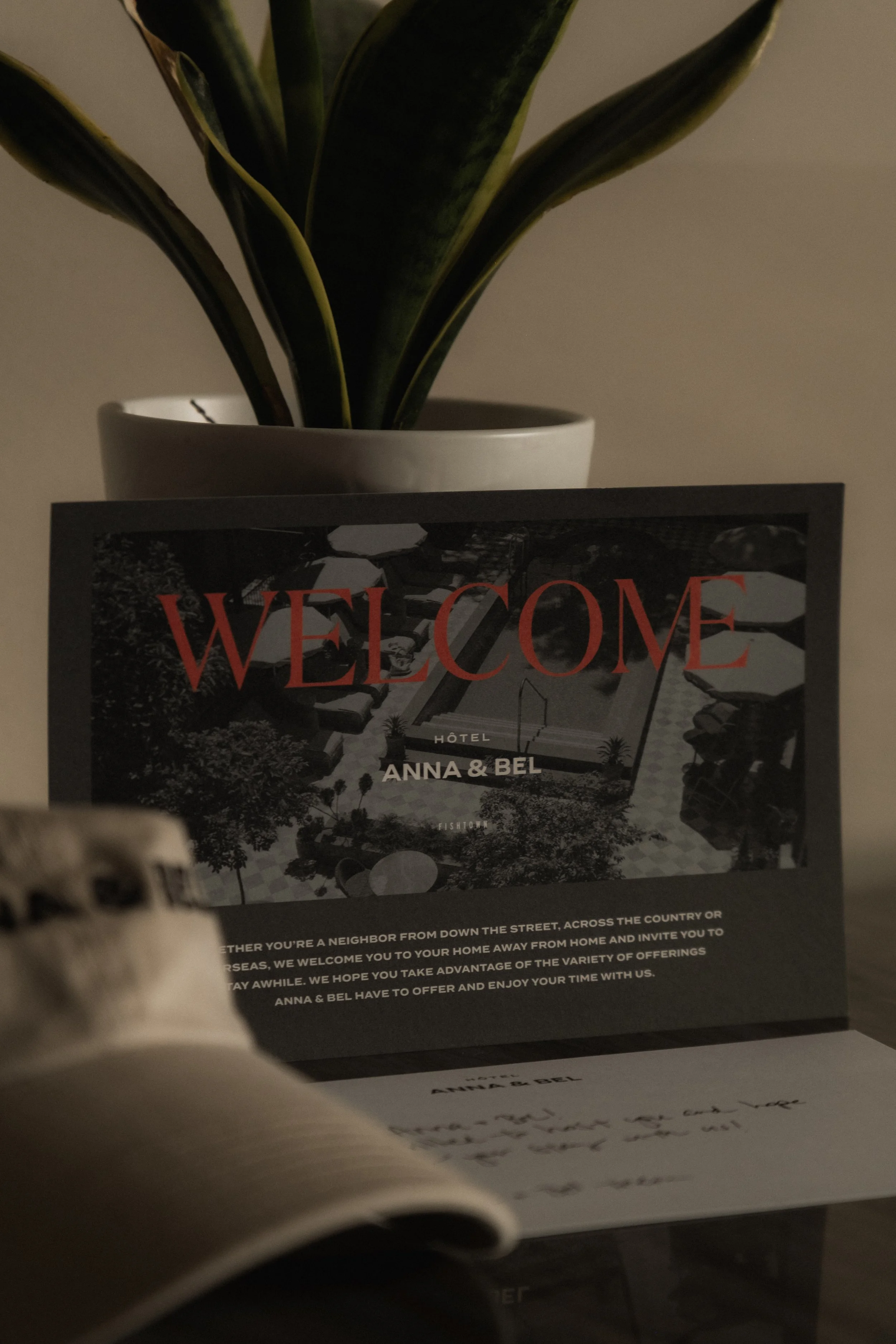 Anna & Bel __ Nick Buckler-018.jpg