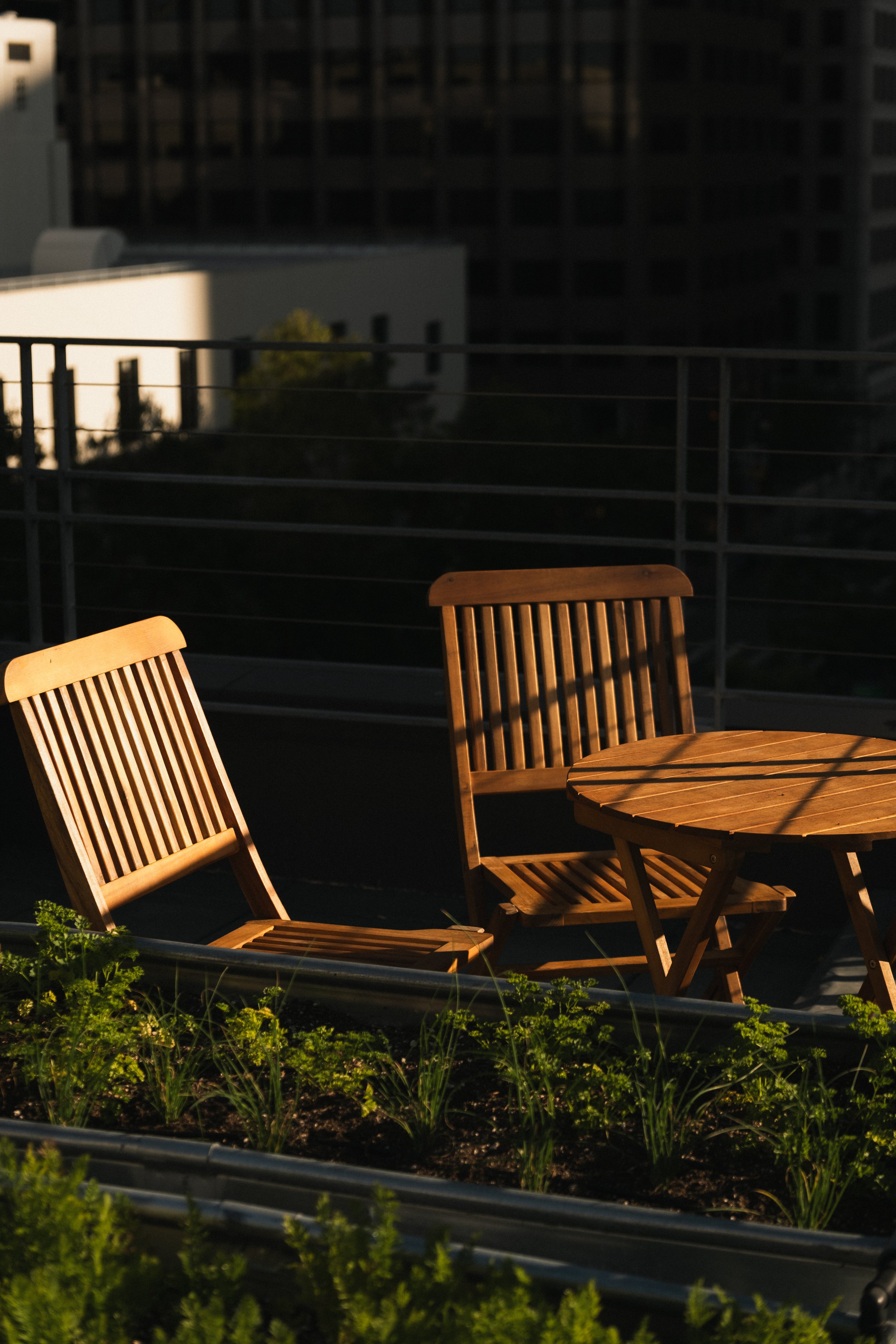 1 Hotel San Francisco __ Nick Buckler-297.jpg