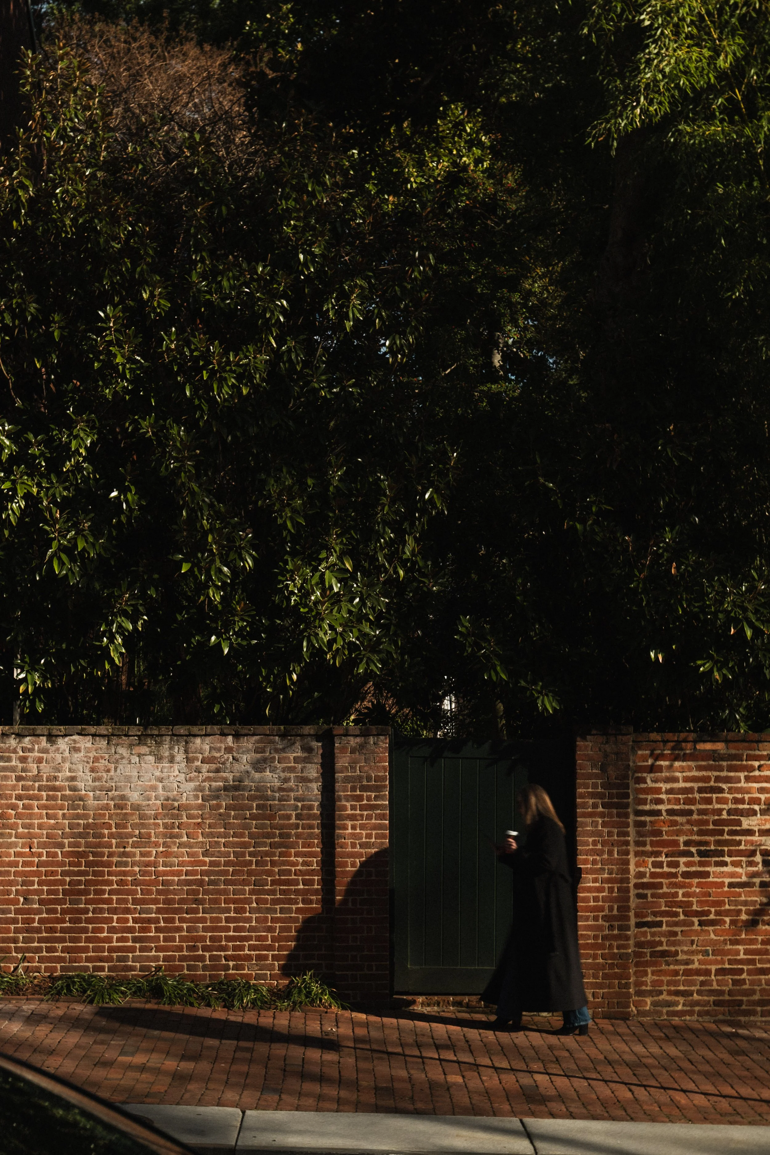 Rosewood D.C. __ Nick Buckler-043.jpg