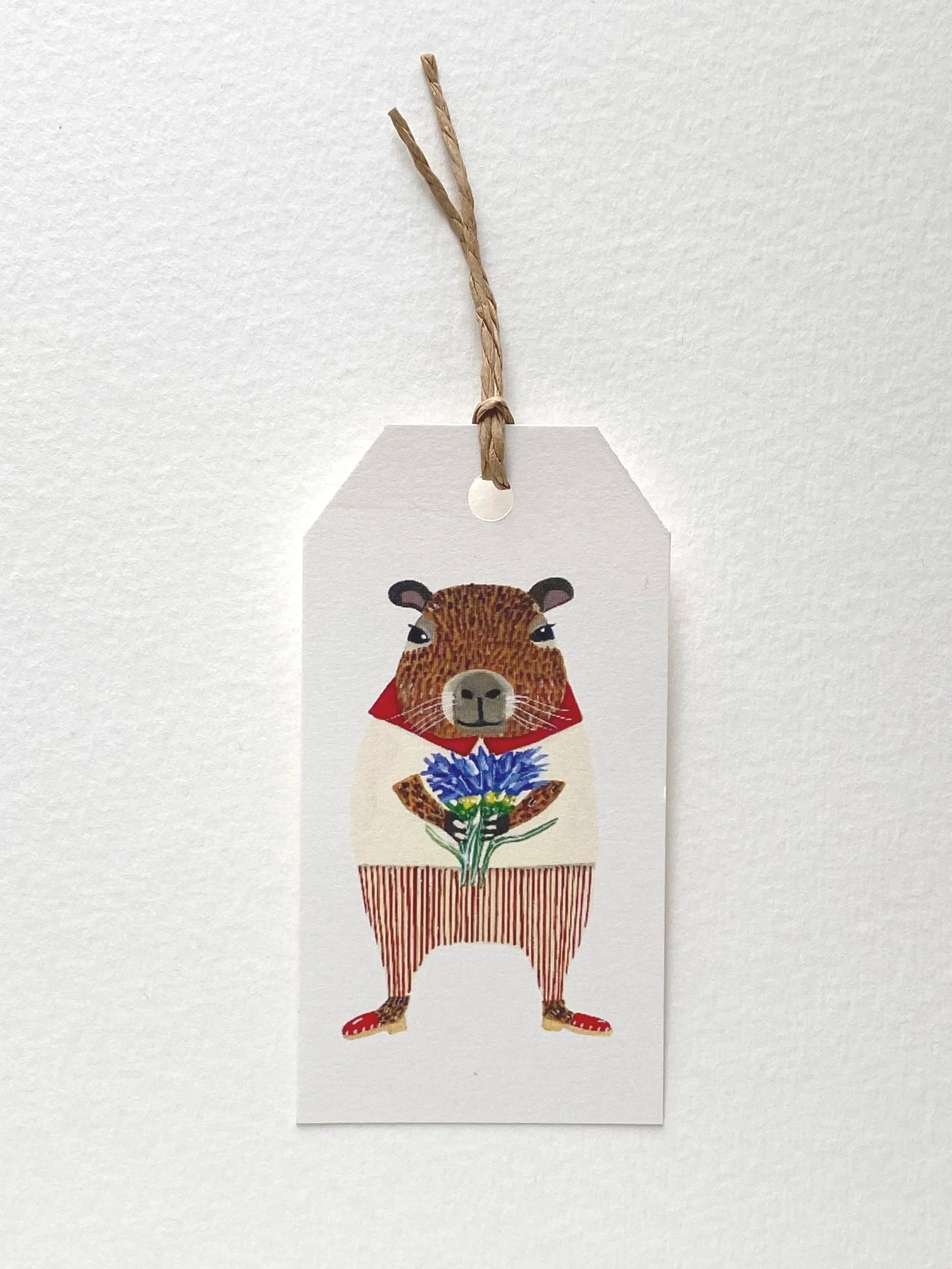 'Capybara loves cornflowers'