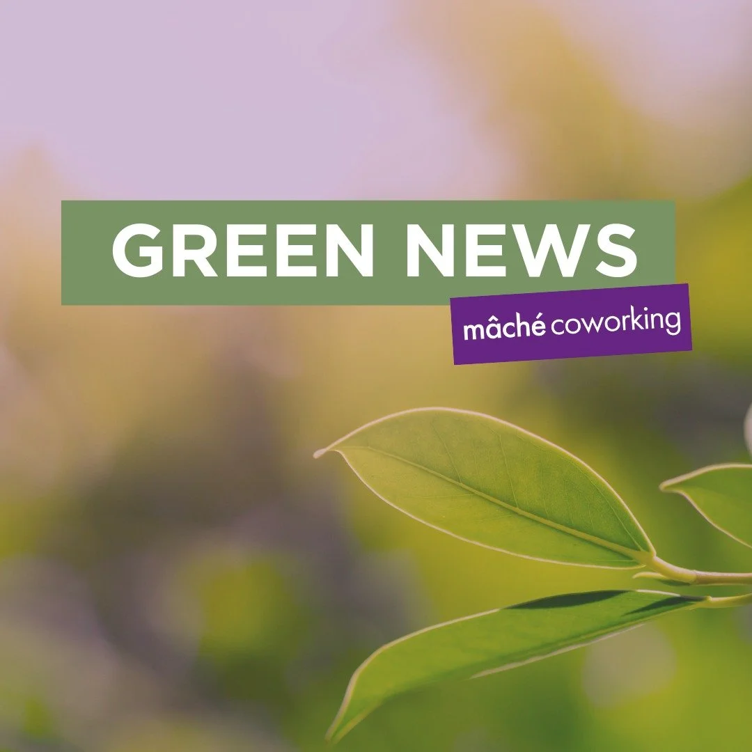 We love sharing good news, especially when it&rsquo;s about people making a real difference for the planet here in Australia and beyond ♻️ Let&rsquo;s take a look ⬇️

💚 Grassroots Grants 2025:
Green Adelaide announced this year&rsquo;s 43 Grassroots