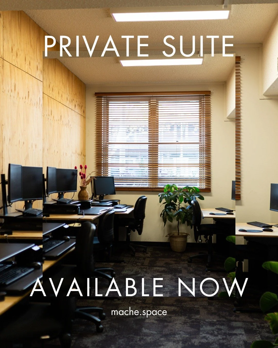 Need room for your whole crew? This spacious private suite at Mache comfortably fits teams of up to 8, ideal for growing businesses that want focus and flexibility.

Enjoy the calm of your own space with all the perks of coworking just outside your d