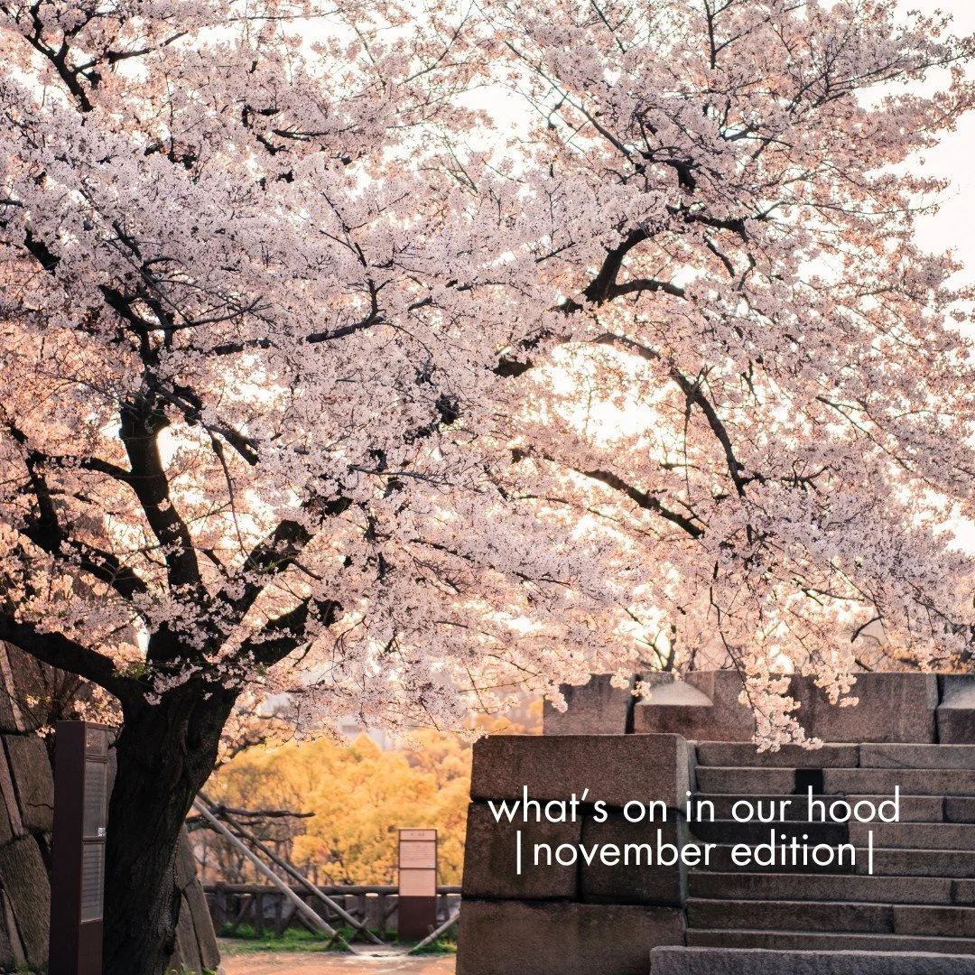 November in Adelaide is packed with fun, flavours, and festivities. From music and multicultural celebrations to sweet treats and Friday knockoffs, we&rsquo;re ready to make the most of this month! Check out our picks ⬇️

a.) Christmas Pageant - Nove