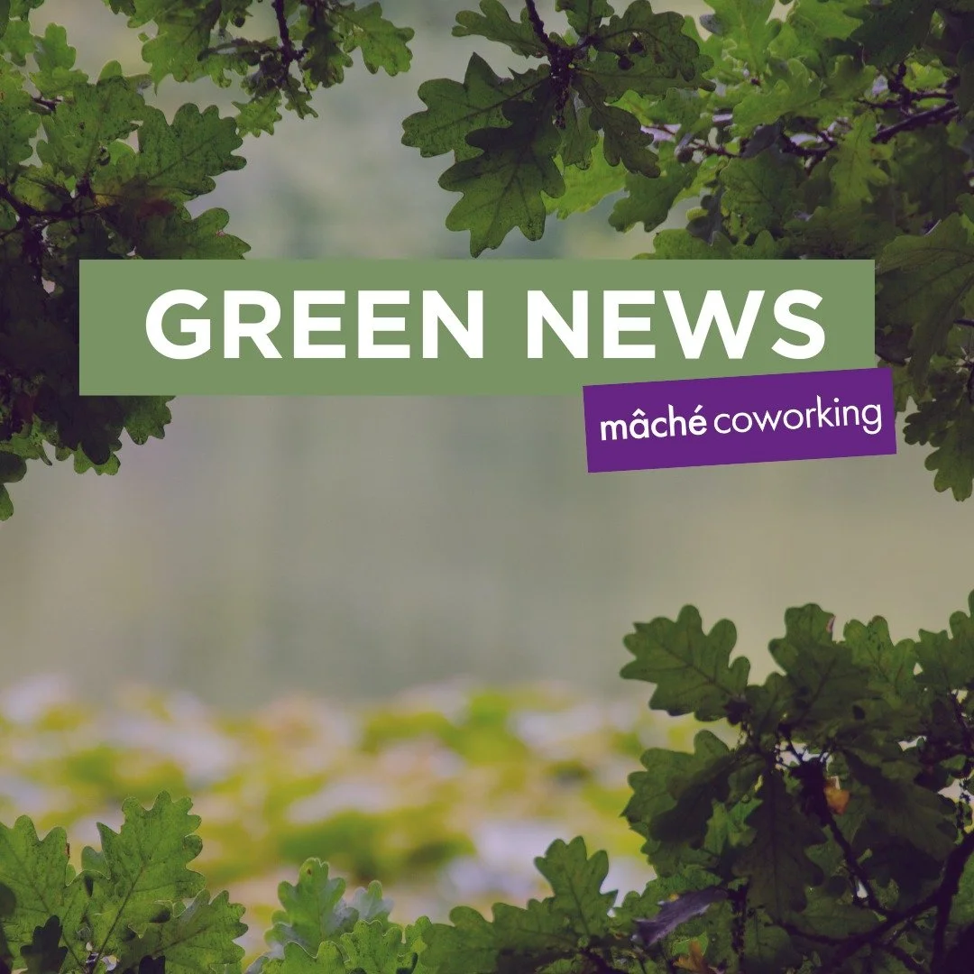 Last Green News of the Year 💚 2025 is wrapping up, and as always, we&rsquo;re sharing the environmental stories that might not make the front pages but are making a real difference, both here in Australia and around the world:

💡 A Nobel Prize for 