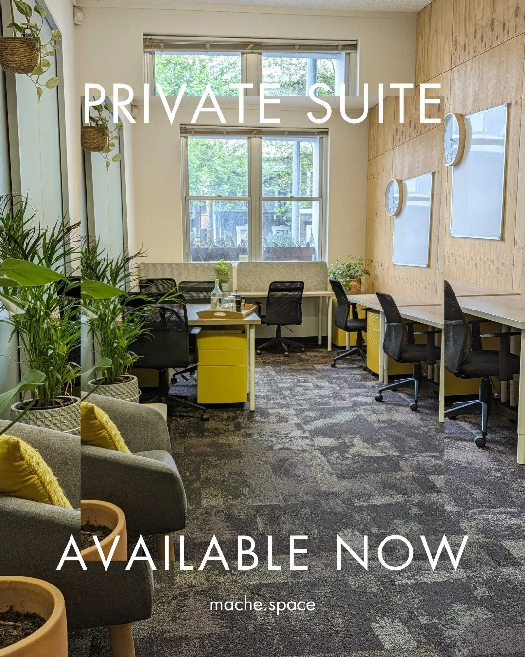 Imagine starting your workday in this light-filled space 🌞 Step inside Suite 7! Spacious, bright, and ready for your team. 

- Fits up to 7 people
- Natural timber + custom ply walls
- Eastern-facing windows
- Storage &amp; optional furniture
- High