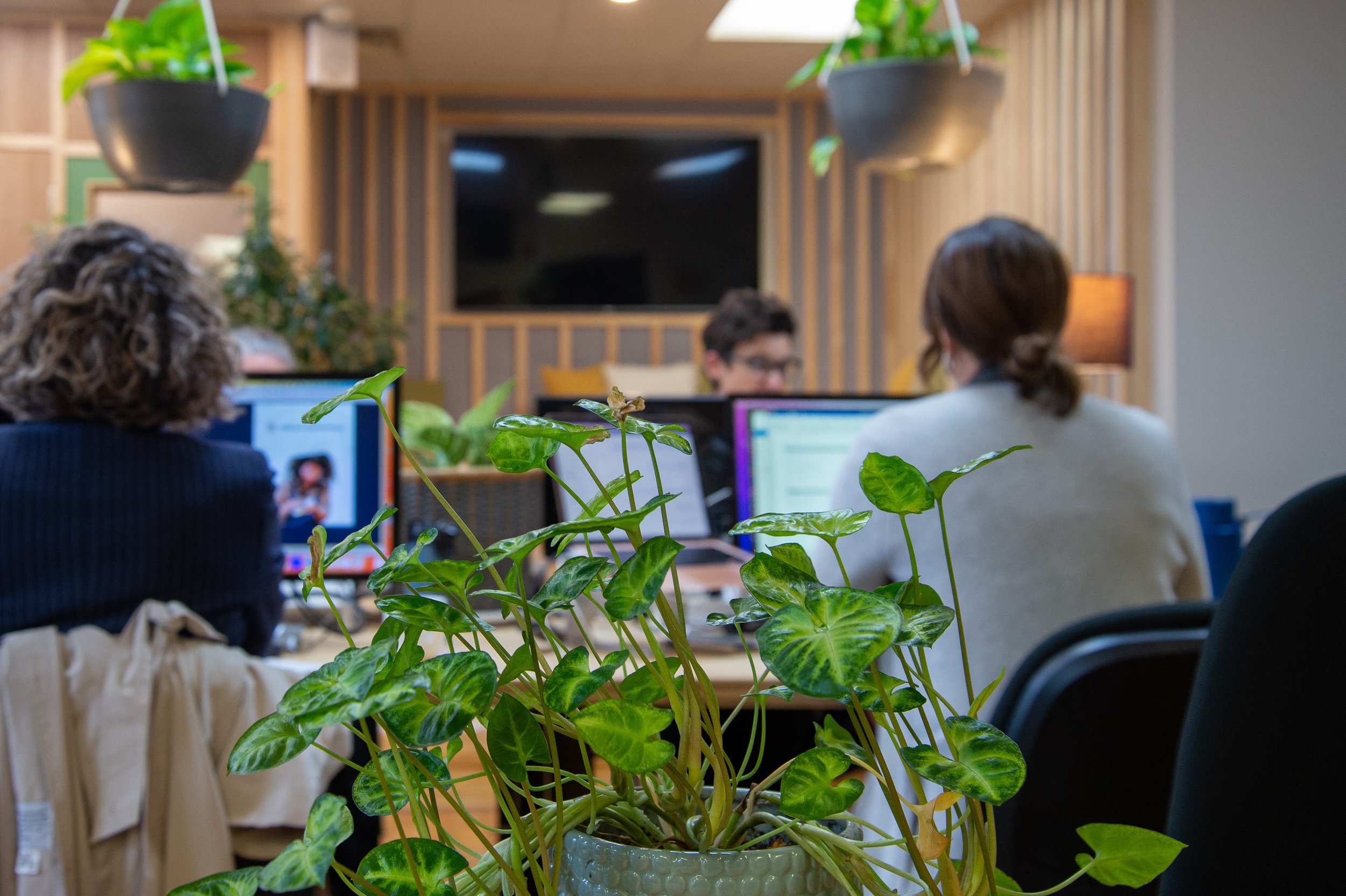 Hé there! | February 2026