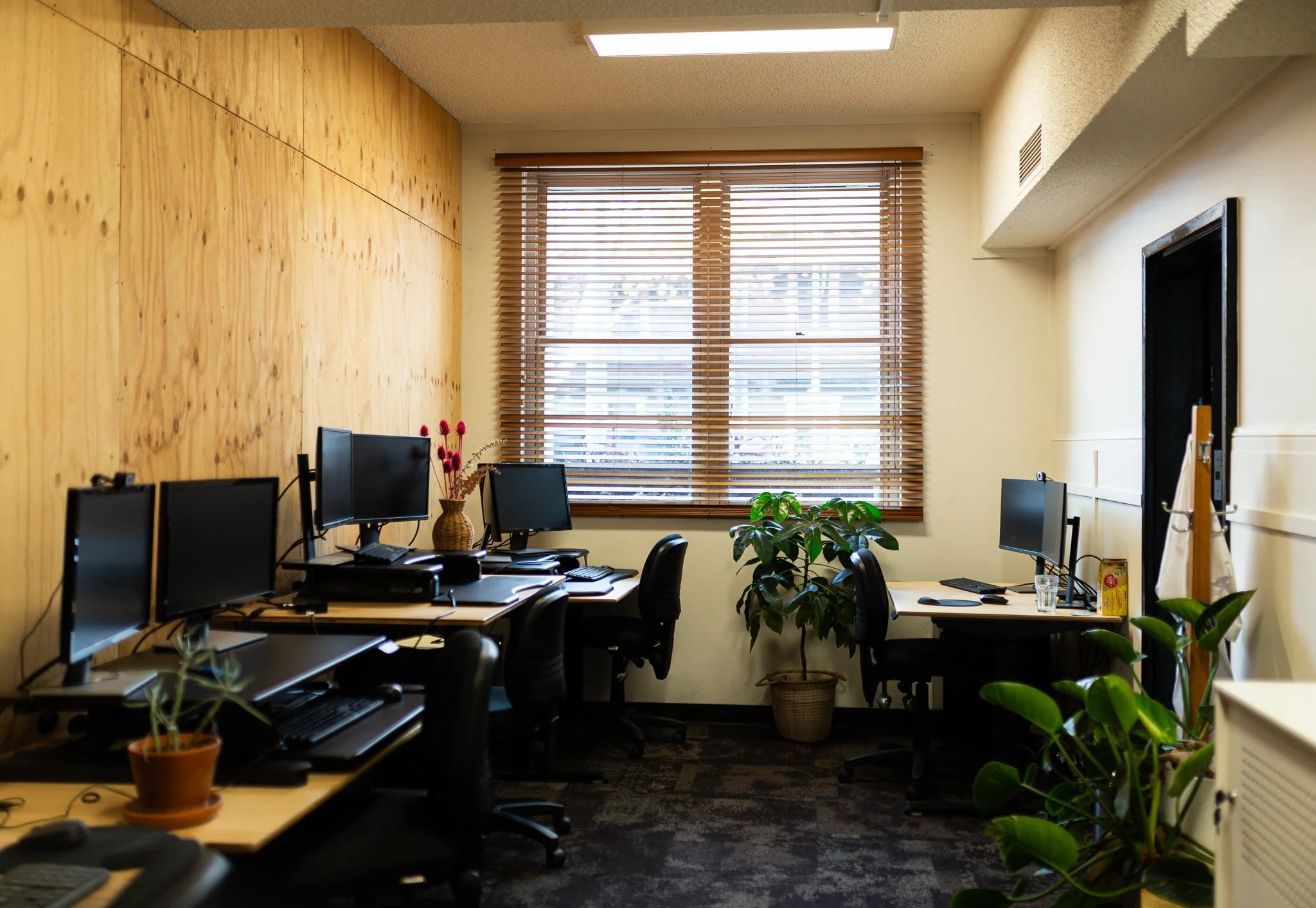 An office space with three desks equipped with monitors, keyboards, and chairs. A large window with wooden blinds is centered on the back wall, with plants and decorative items like a vase with pink flowers visible. The room has a wooden wall panel o