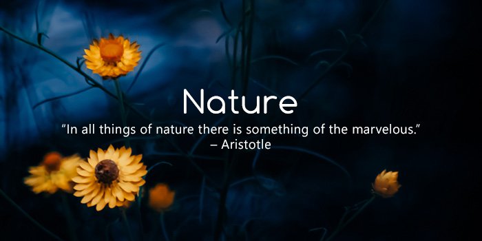 Dark background with yellow flowers and green leaves, with the word 'Nature' and a quote by Aristotle about marvels in nature.