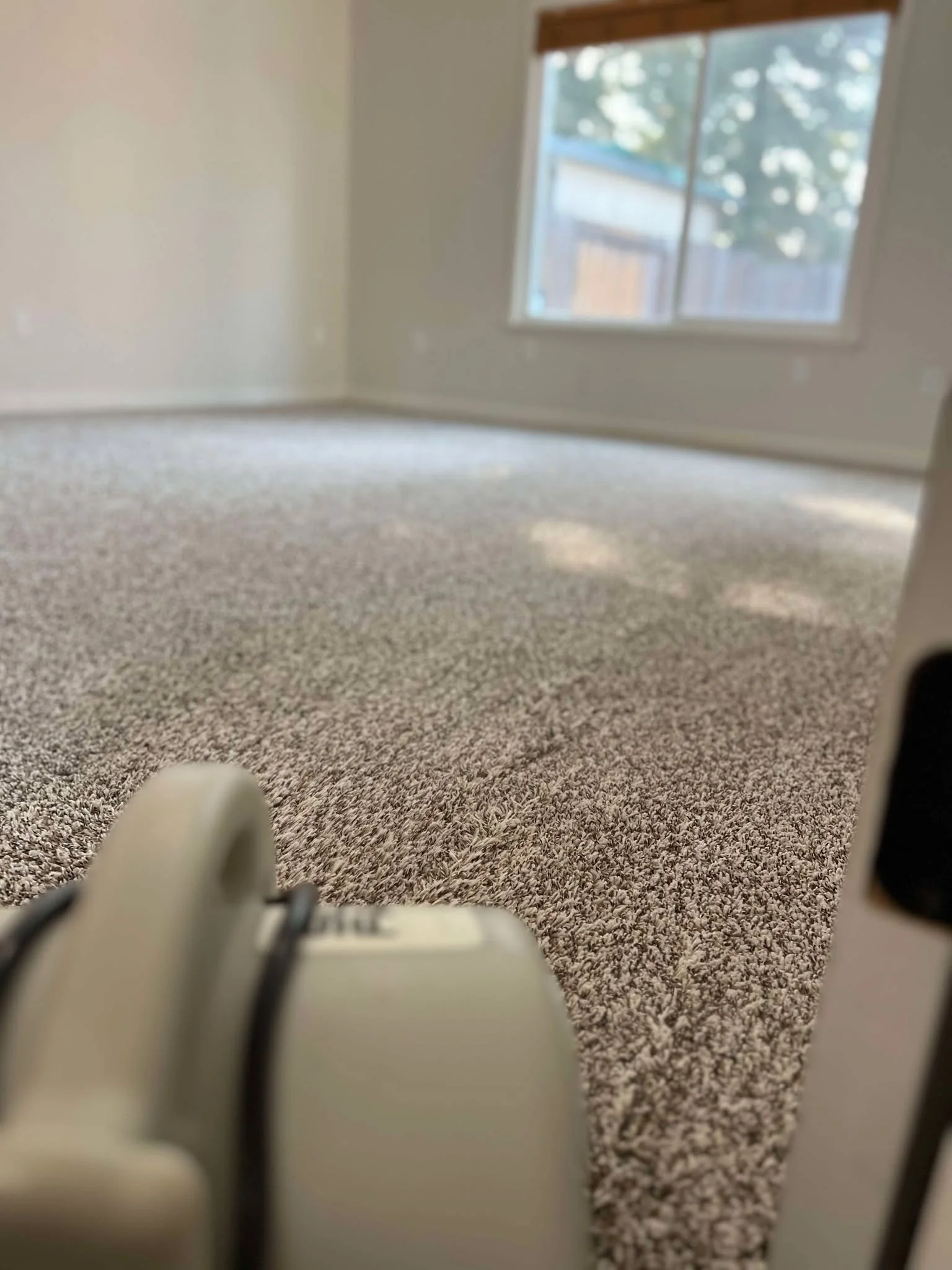 Manteca Carpet Cleaning Salida Carpet Cleaning.jpg