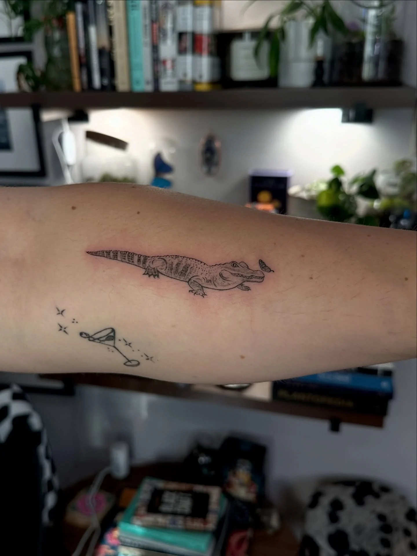 I&rsquo;m not afraid of much, but one thing that has literally given me several nightmares is alligators. They are just too big and old and smart for me, I already feel vulnerable in big dark bodies  of water and even the thought of the possibility t