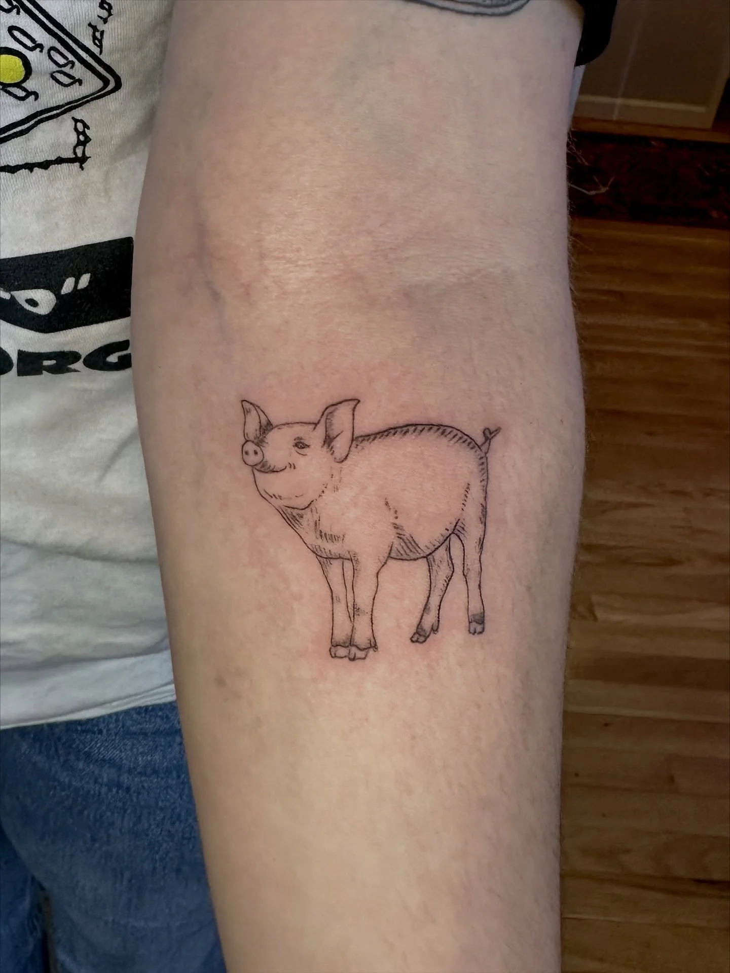 Some fun flash from the last few weeks 😍 

#flashtattoo #finelineflash #seattlefineline #seattletattoo