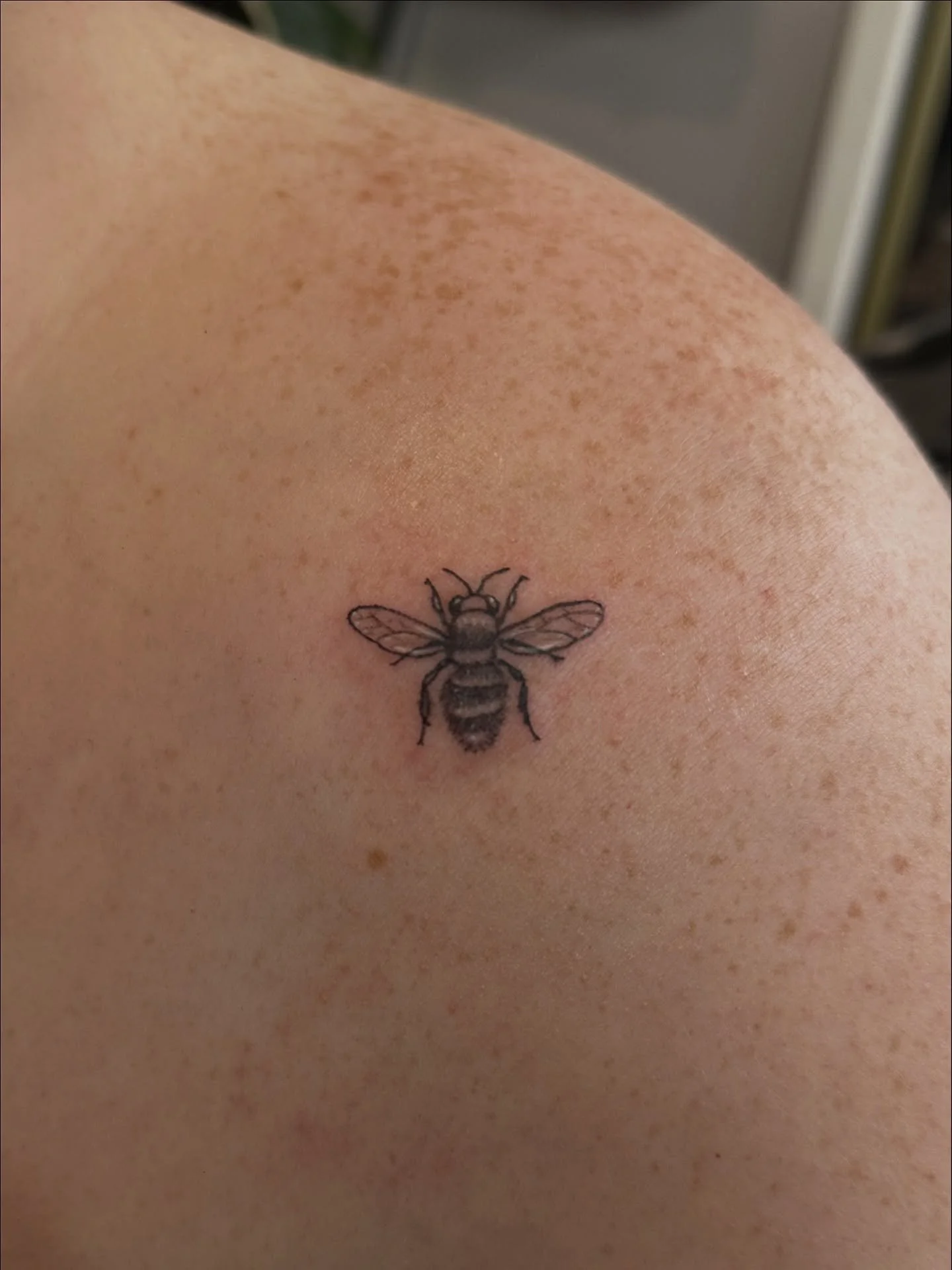 Beez in the trap

I would love to do more bees, beetles, butterflies, anything cute and little!  My books are open thru January. Wither is the perfect time to get tattooed, they get plenty of time to heal before the sun comes back out! 

#fineline #b