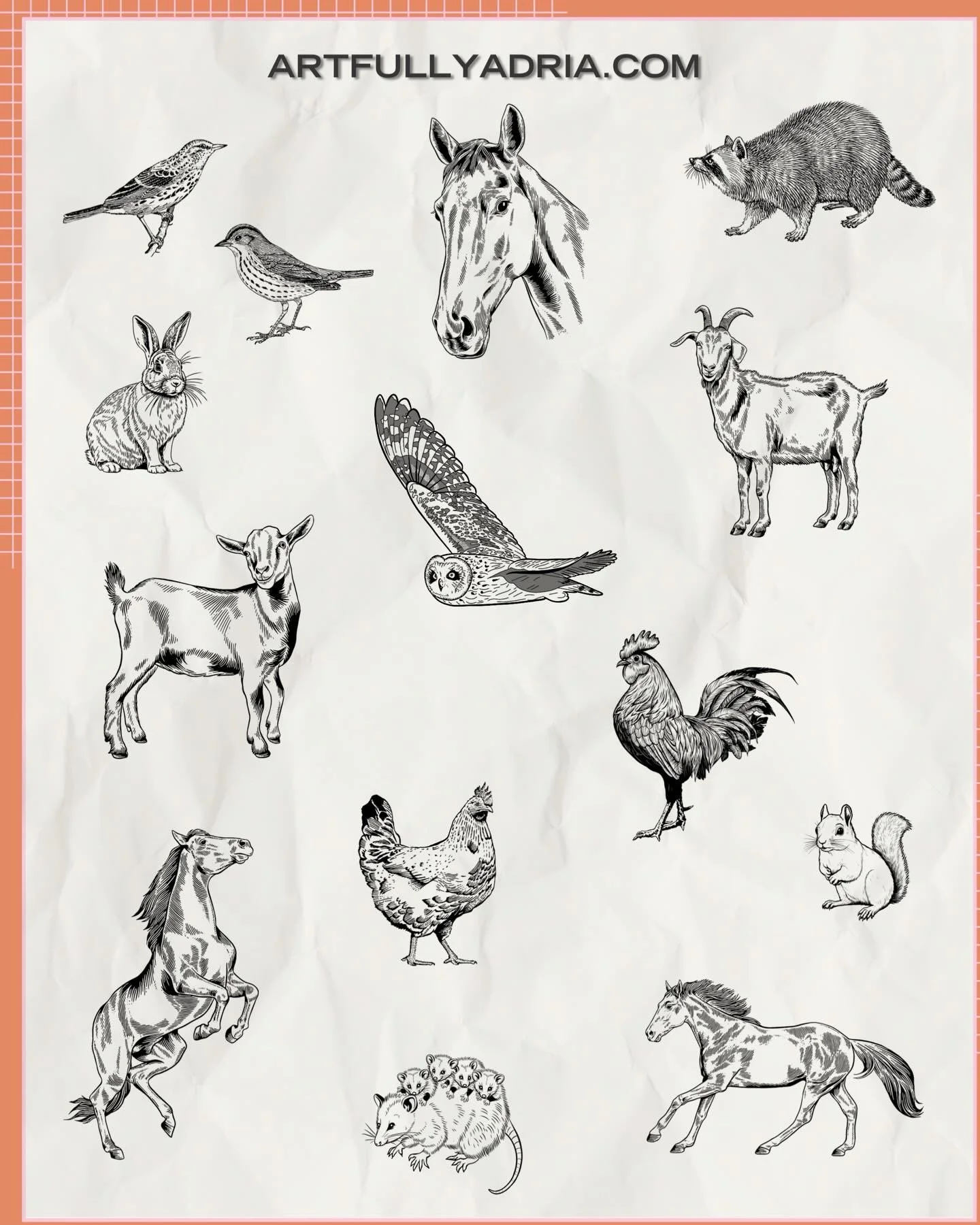 Some new and some old flash friends 🐐🦝🐇
From the neighborhood riff raff the wild horses all creatures are pretty cool if you ask me. Except spiders, still not a big fan, sorry spiders.

#seattletattoo #seattlenature #pnwtattoo #finelineseattle #ex