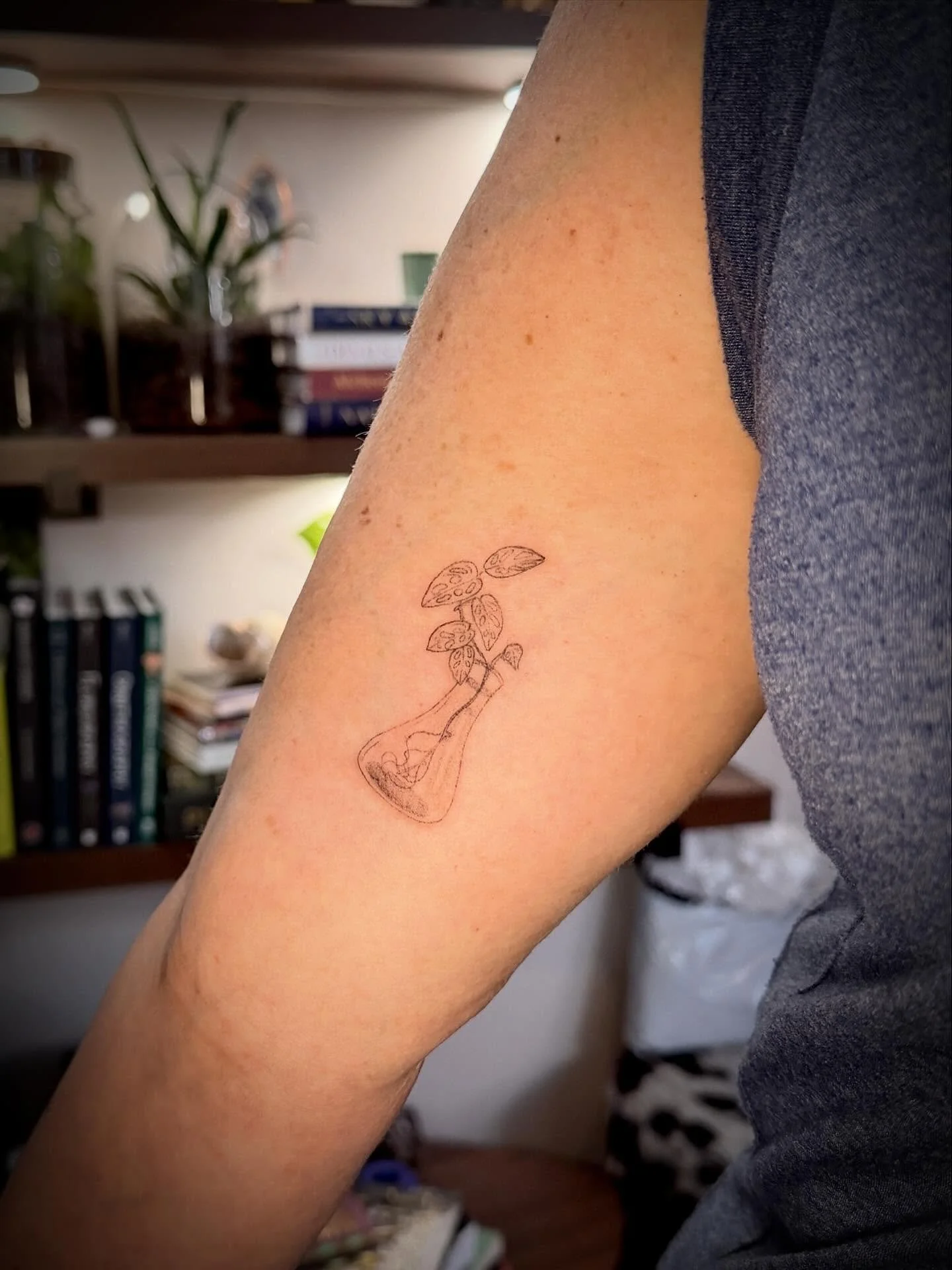 If you have never met me or been to my studio you may not know, I love plants. I have plant propagations all over the studio, and all over my house. I love seeing the roots spring out and the plants grow up out and around 🌱 I have even started growi