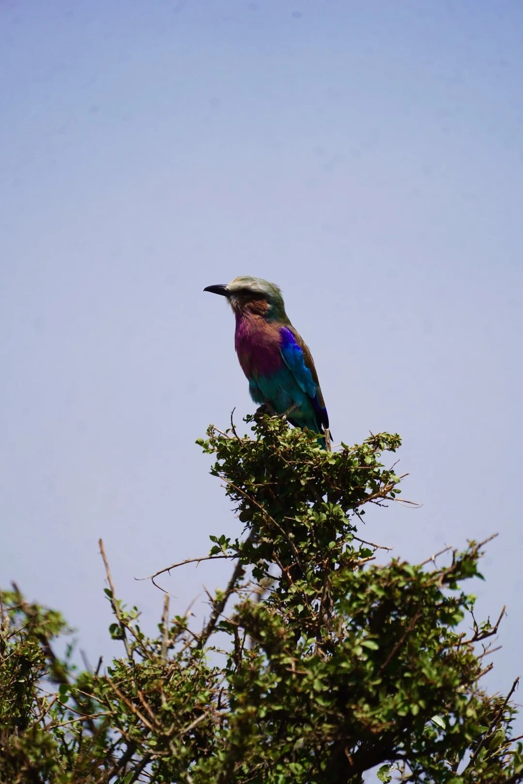 DSC04320.jpg