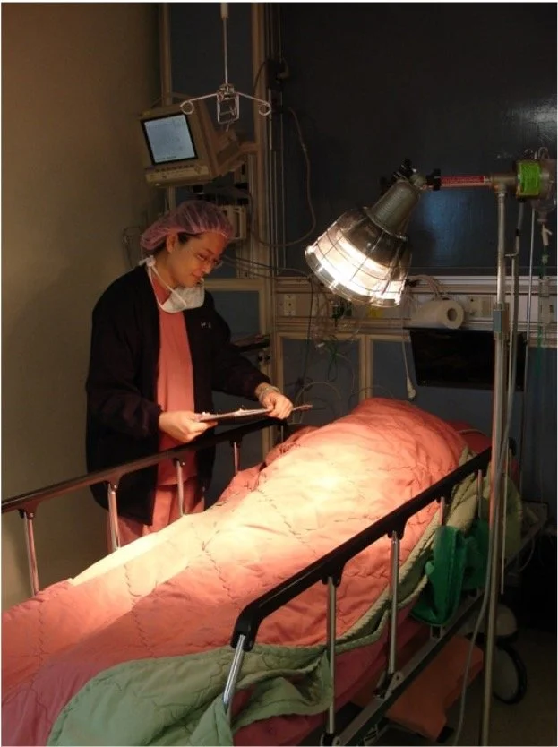 A medical professional standing next to a patient bed in what appears to be a hospital or surgical room, with medical equipment overhead.