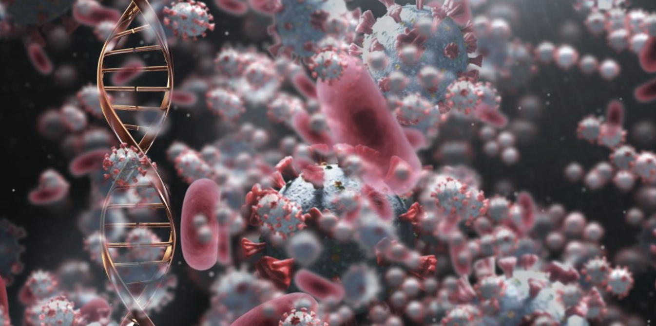 Reading Between the Slides: p53, Endometrial Cancer, and the Story a Pathology Report Can Tell