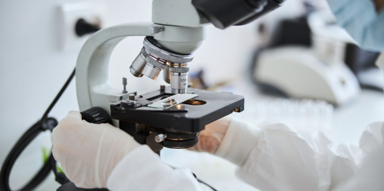 Clear-Cell Endometrial Cancer: From Puzzling Diagnosis to Battle-Ready Plan