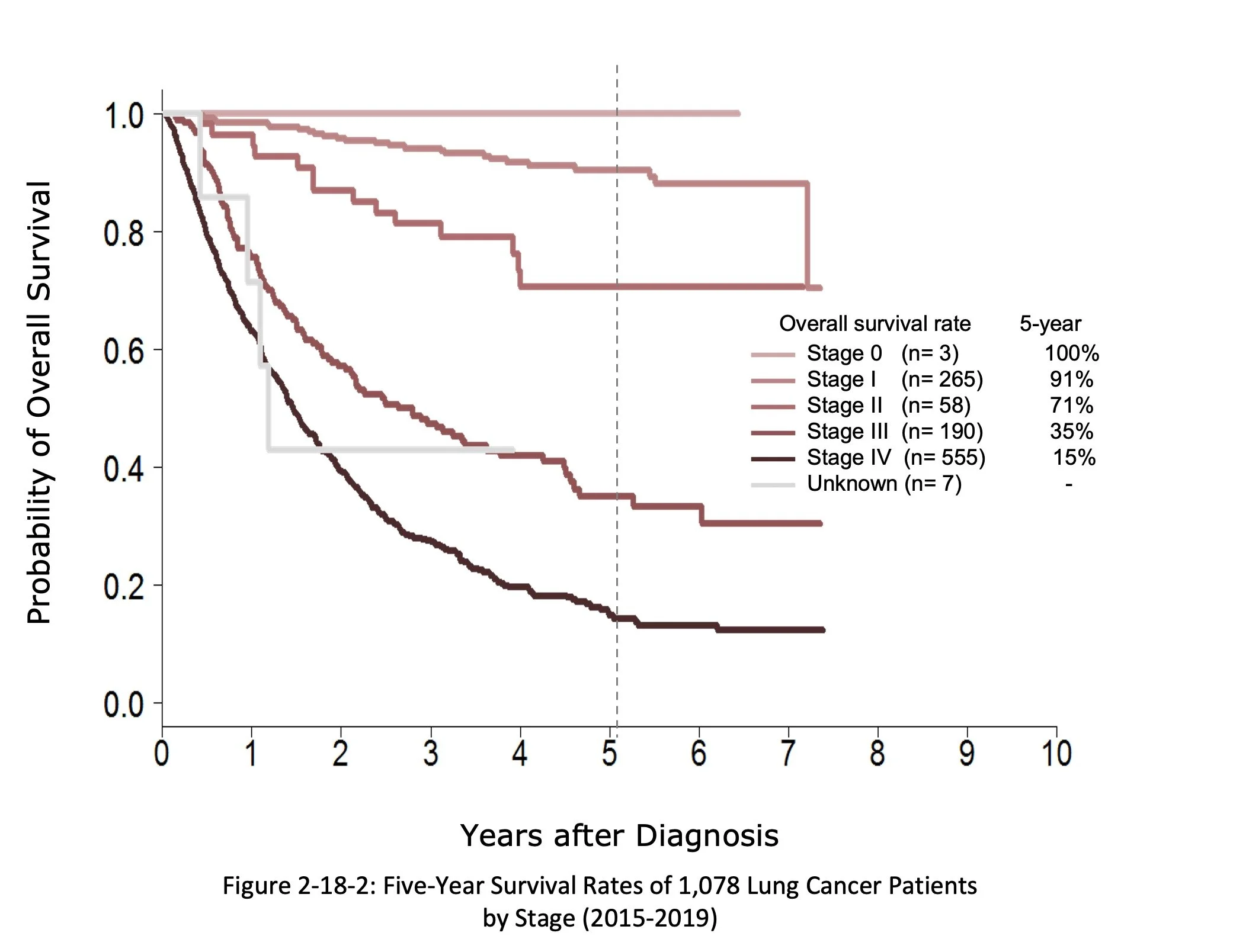 A graph showing five-year survival rates of lung cancer patients by stage, with survival decreasing as stage progresses. The x-axis represents years after diagnosis, and the y-axis shows the probability of overall survival. The stages are color-coded from Stage 0 to Stage IV, with Stage 0 having the highest survival and Stage IV the lowest.