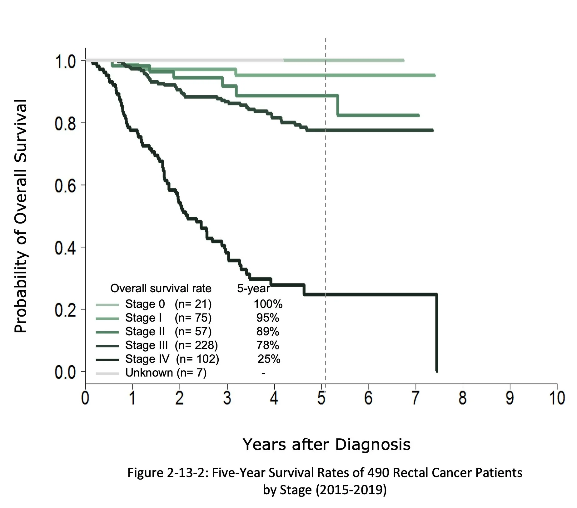 Graph showing five-year survival rates of 490 rectal cancer patients by stage from 2015 to 2019. The graph depicts probability of overall survival over 10 years after diagnosis, with curves for stages 0 to IV and unknown stage. Stage 0 has the highest survival rate, while stage IV has the lowest.