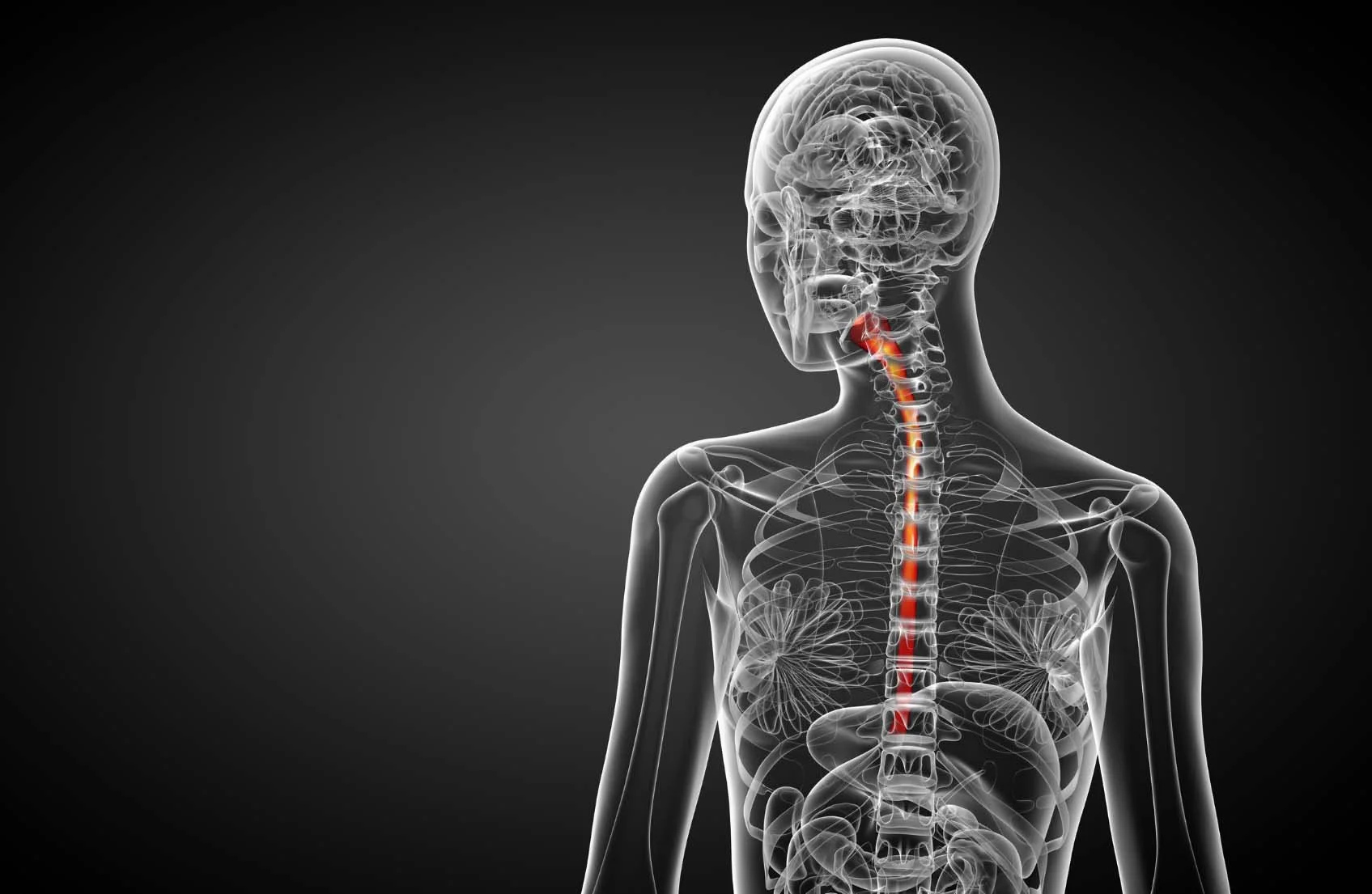 Digital illustration of a transparent human body highlighting the cervical spine in orange.