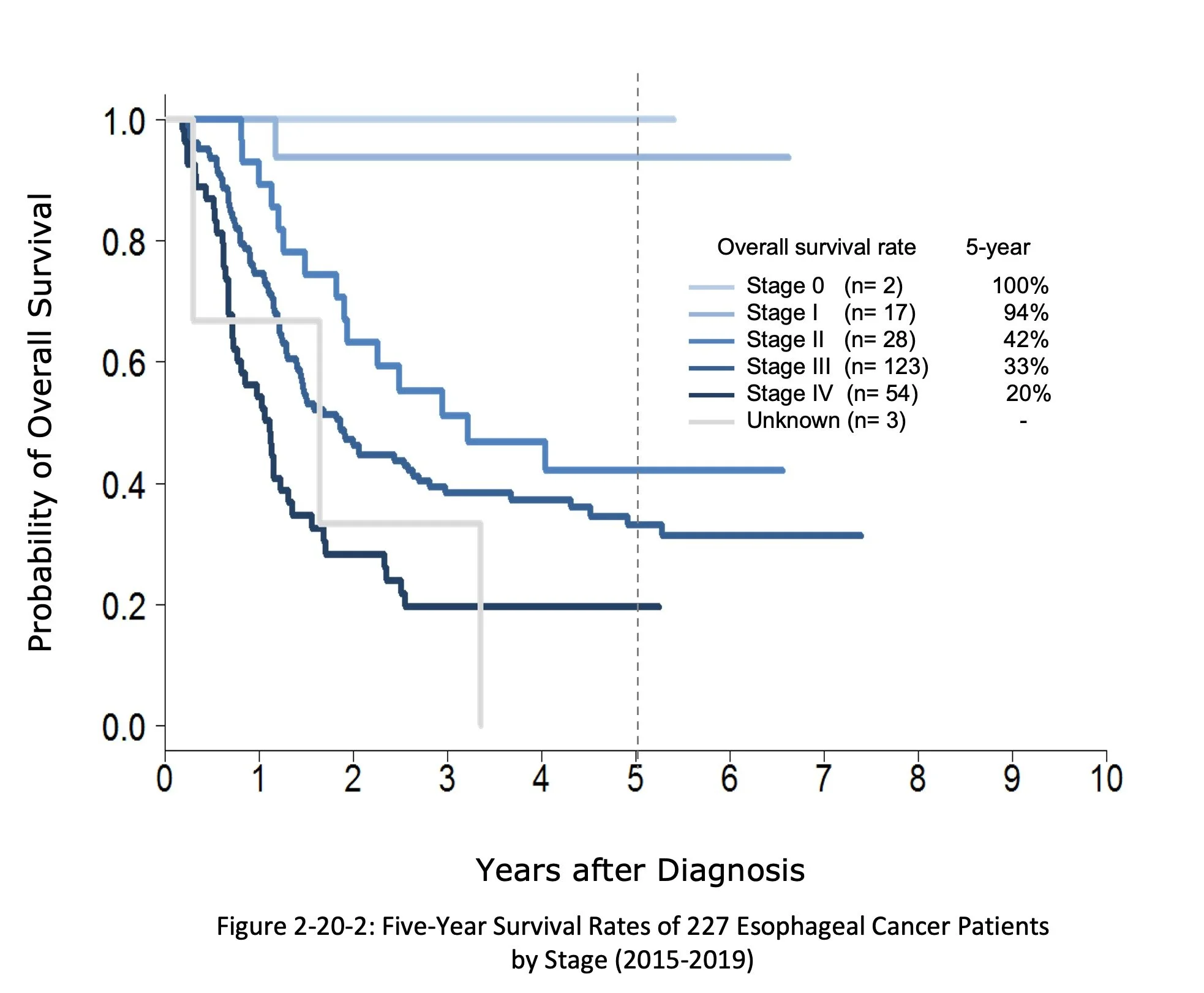 Stage 4 Esophageal Cancer Survival Rate By Age Lung Cancer Outcomes — Taiwan Cancer Care