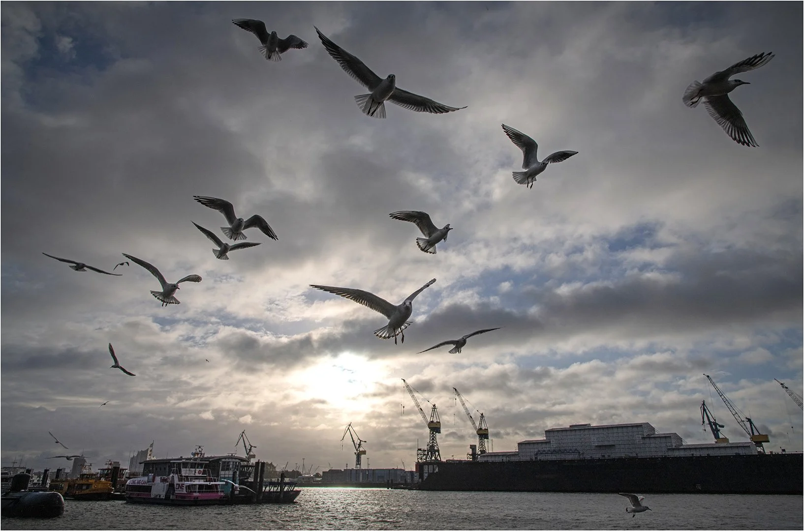 Hamburg Baumgartner 066.jpg