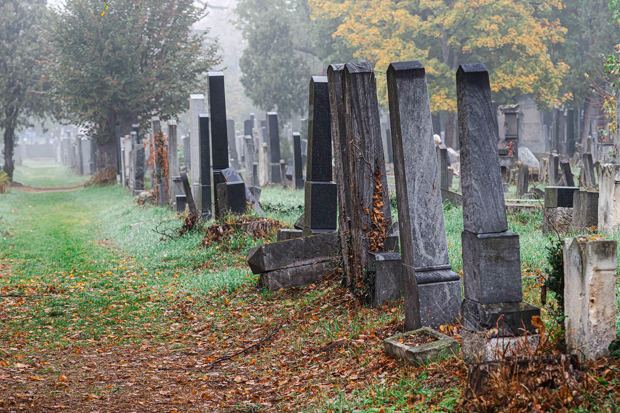 DSC_2384_Tom_Web.jpg