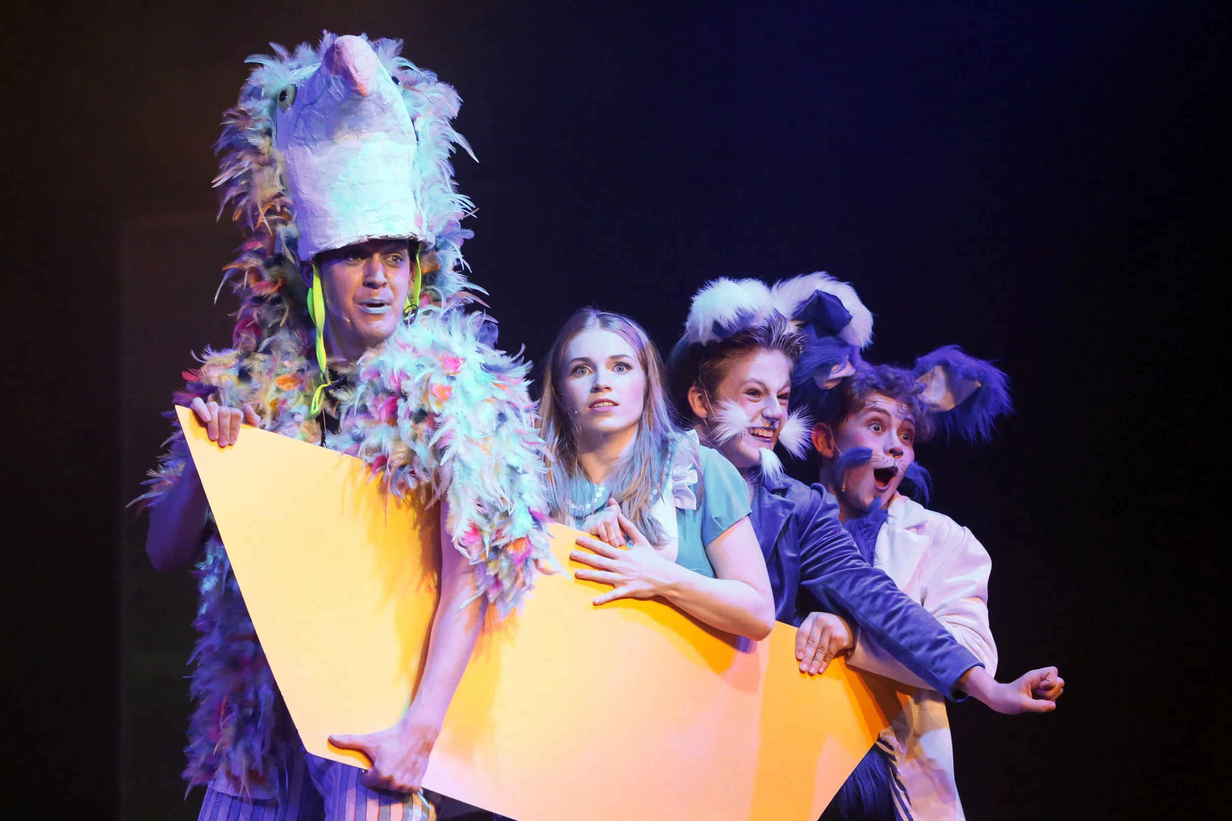  Fotograf/-in:  Roman Zagler  
 Titel:  Musical "Alice im Wunderland"  