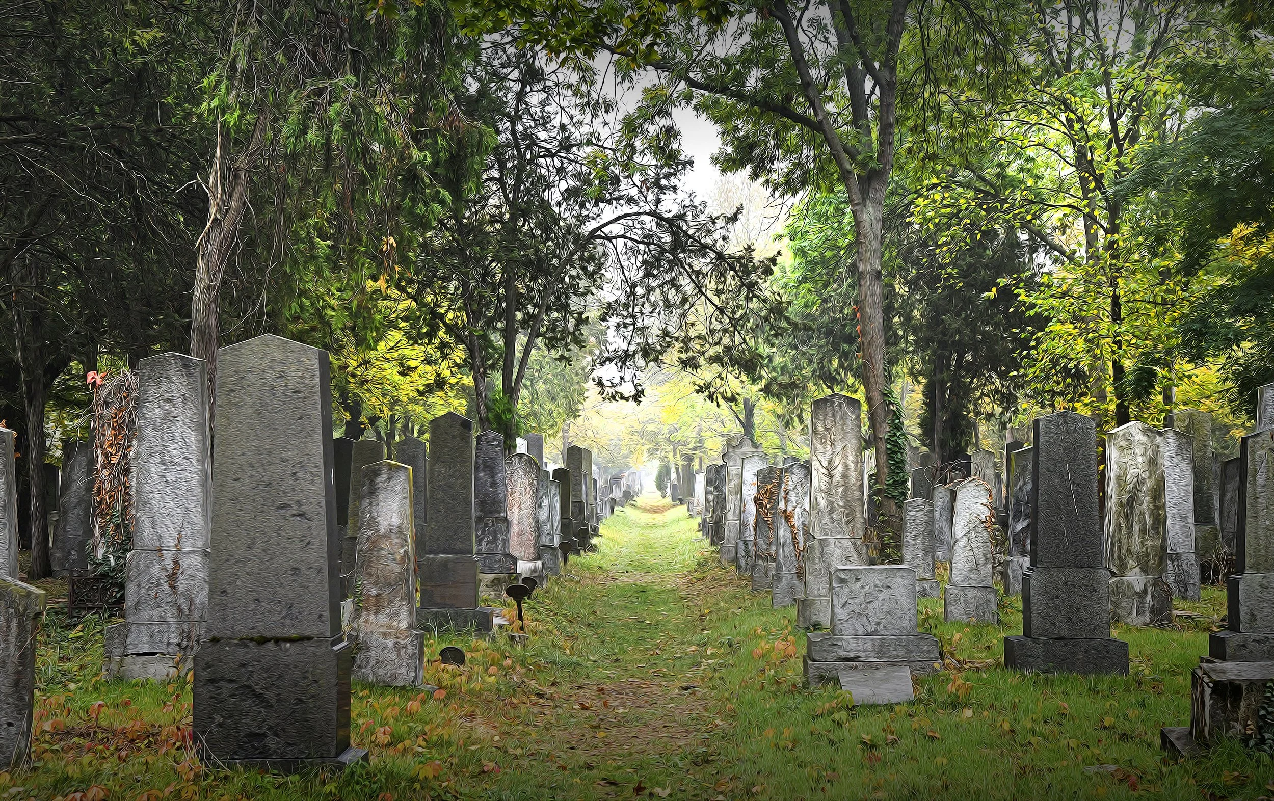 Zentralfriedhof Manfred Baumgartner 24.jpg