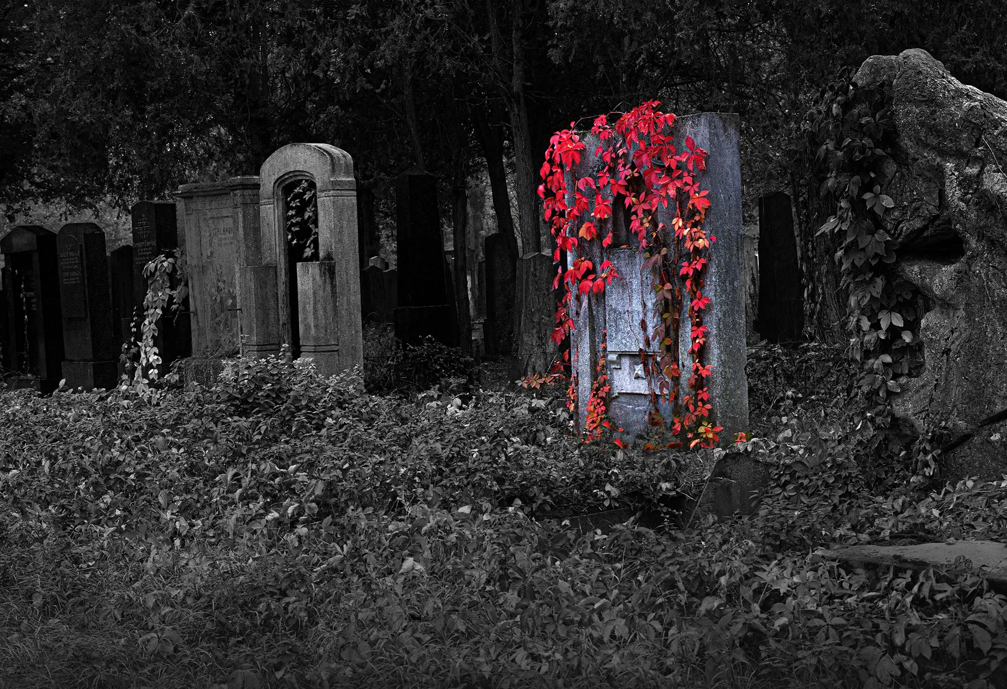 Zentral Friedhof 147_Helmut_Web.jpg