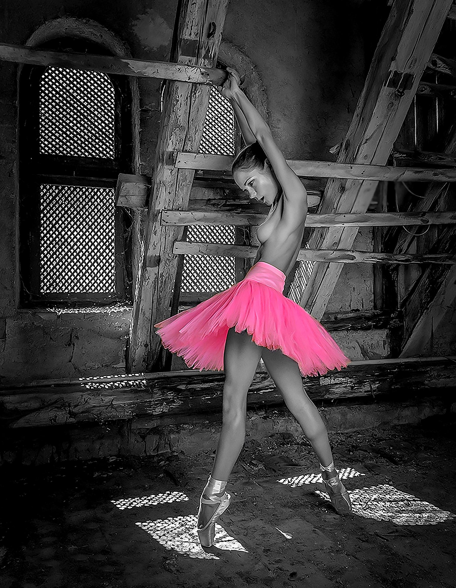 Dance_Friedl_Web.jpg