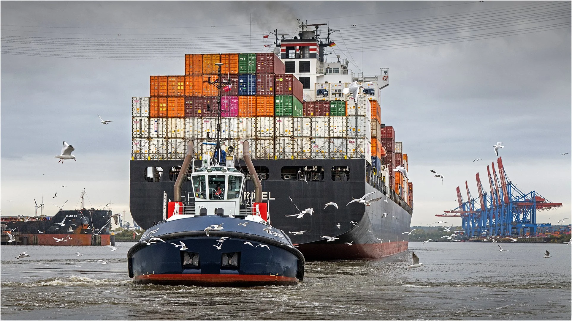 Hamburg Baumgartner 097.jpg