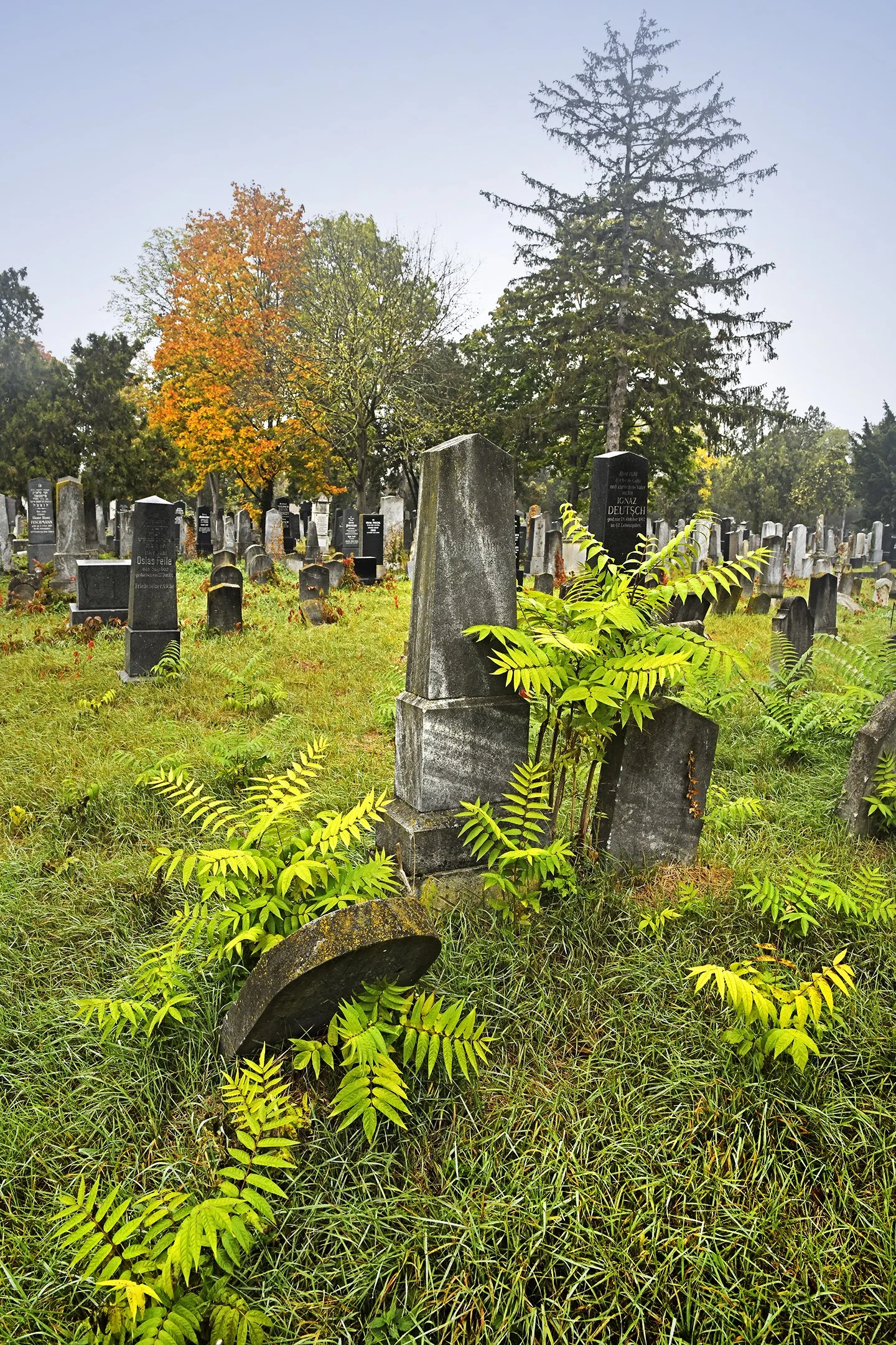 Zentralfriedhof Manfred Baumgartner 18.jpg