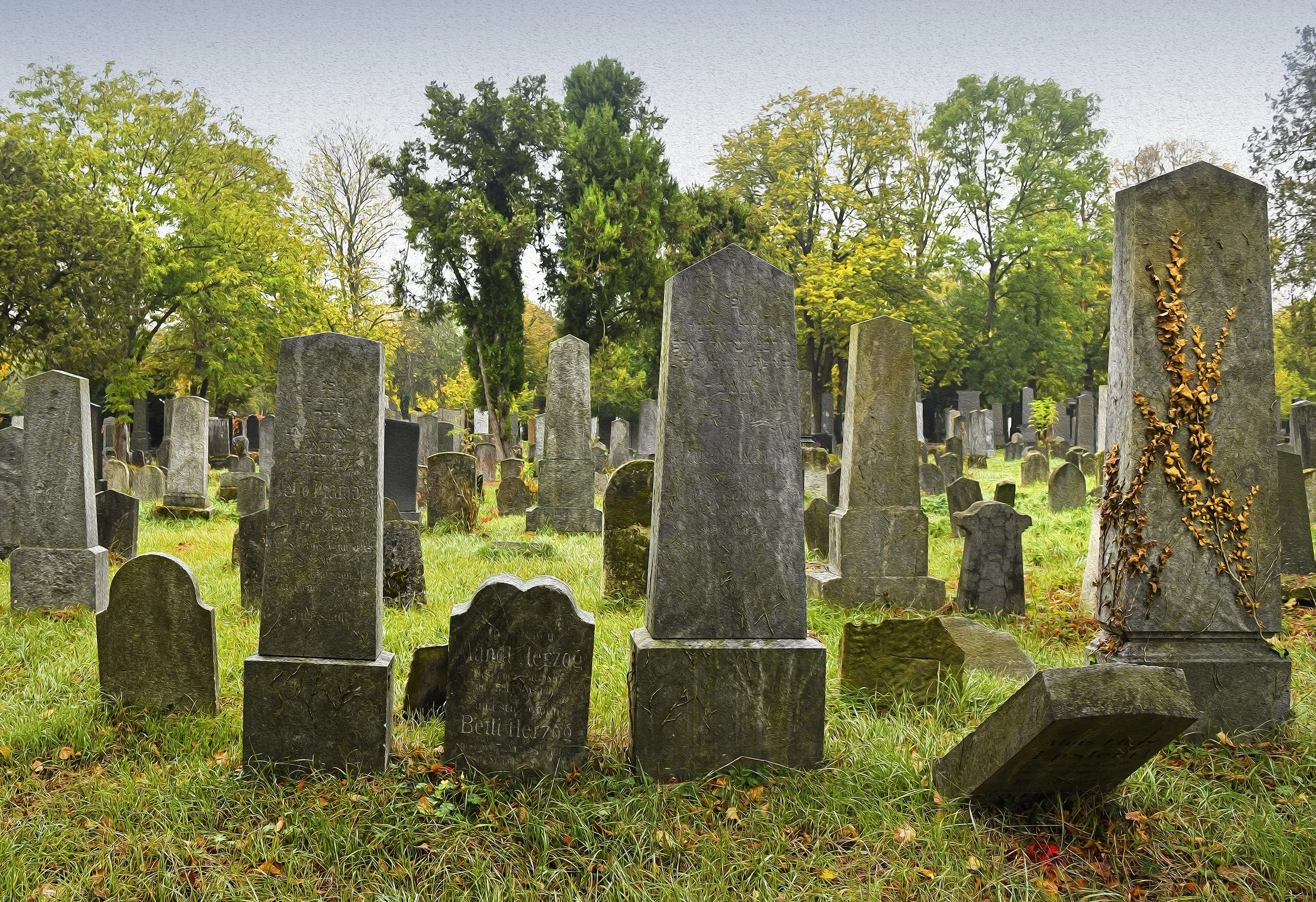 Zentralfriedhof Manfred Baumgartner 14.jpg