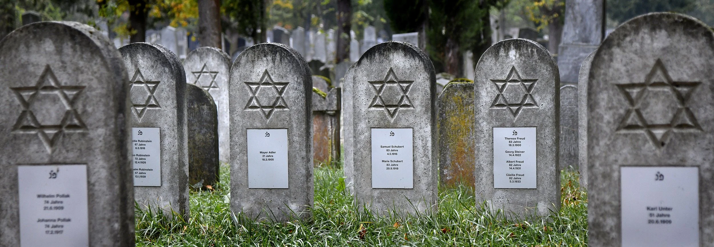 Zentralfriedhof Manfred Baumgartner 11.jpg