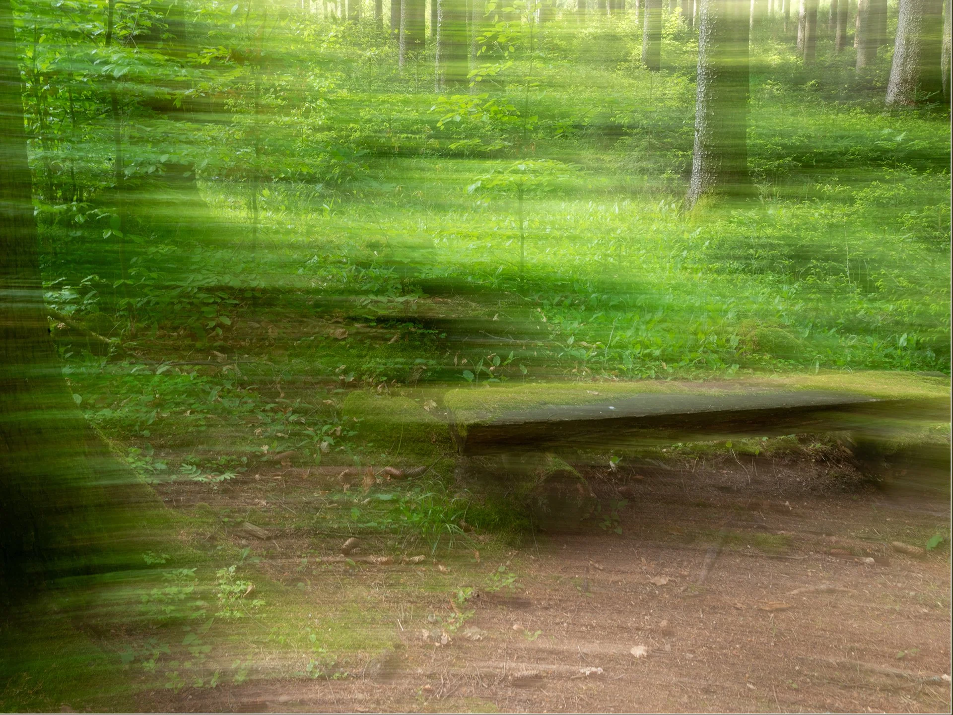 Pausenbank.jpg