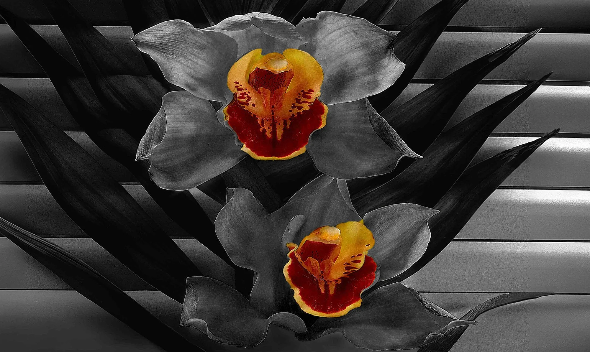AT2100007_1_Karl Stoitzner_Pas de deux_Web.jpg