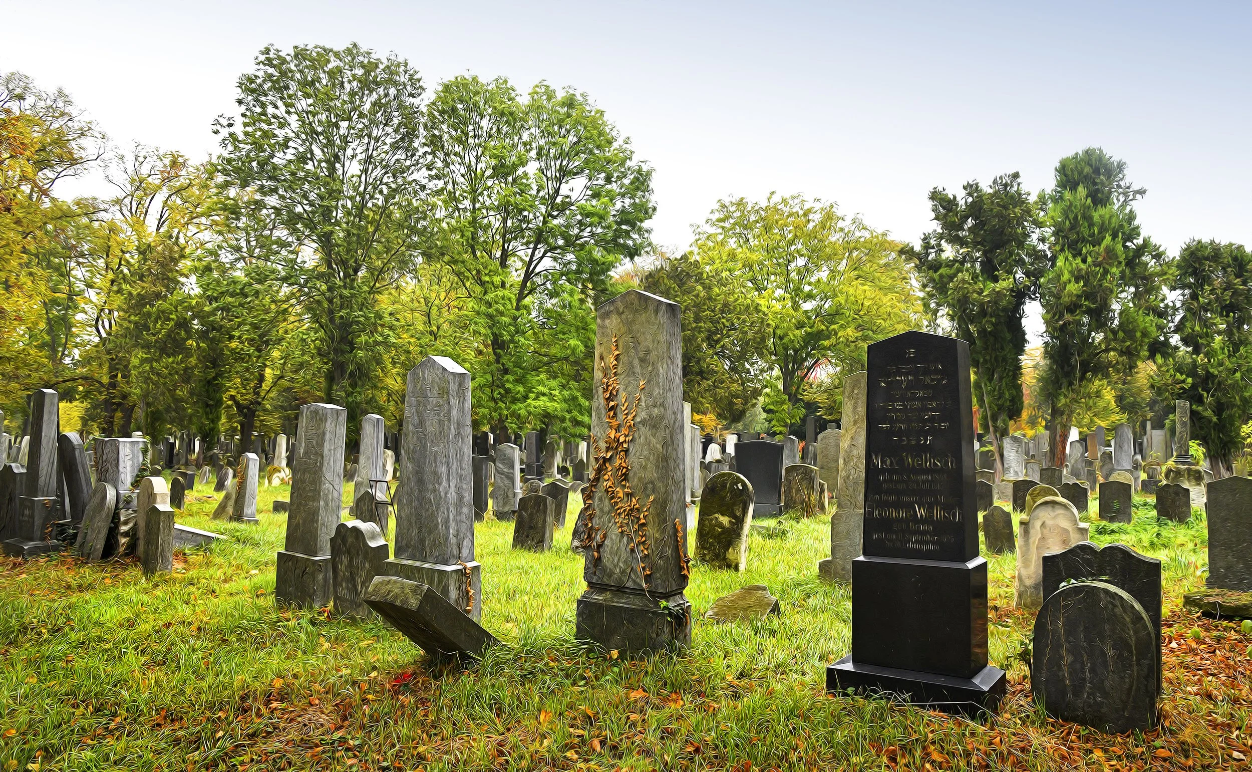 Zentralfriedhof Manfred Baumgartner 13.jpg
