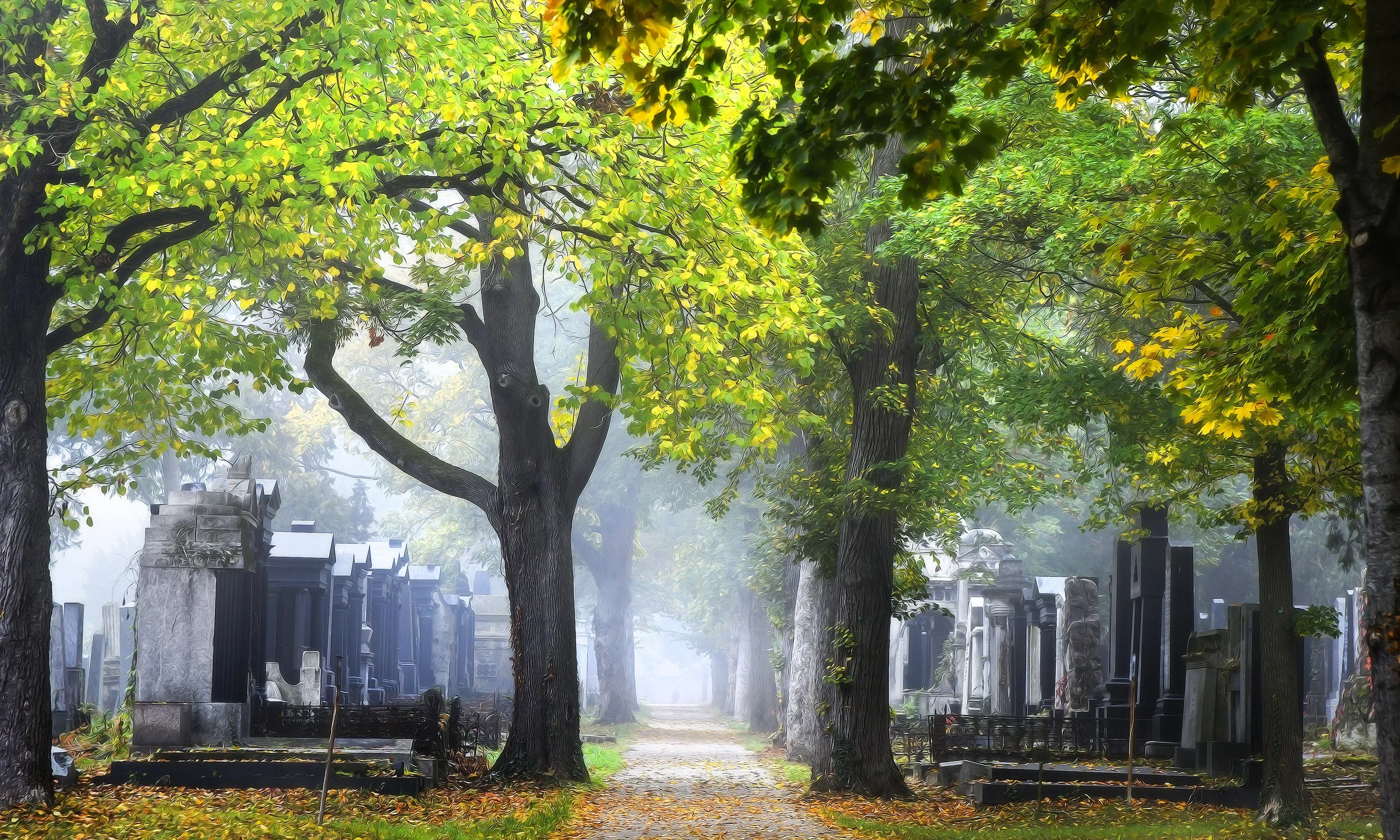 Zentralfriedhof Manfred Baumgartner 22.jpg
