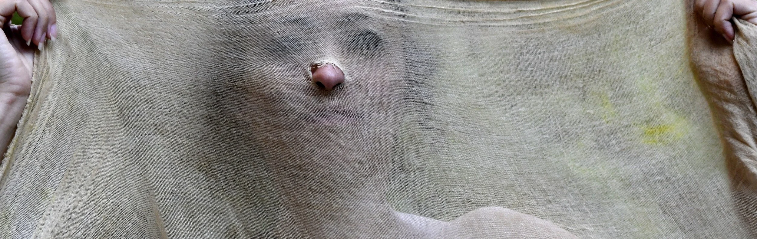 Durchblick Manfred Baumgartner_Salome.jpg